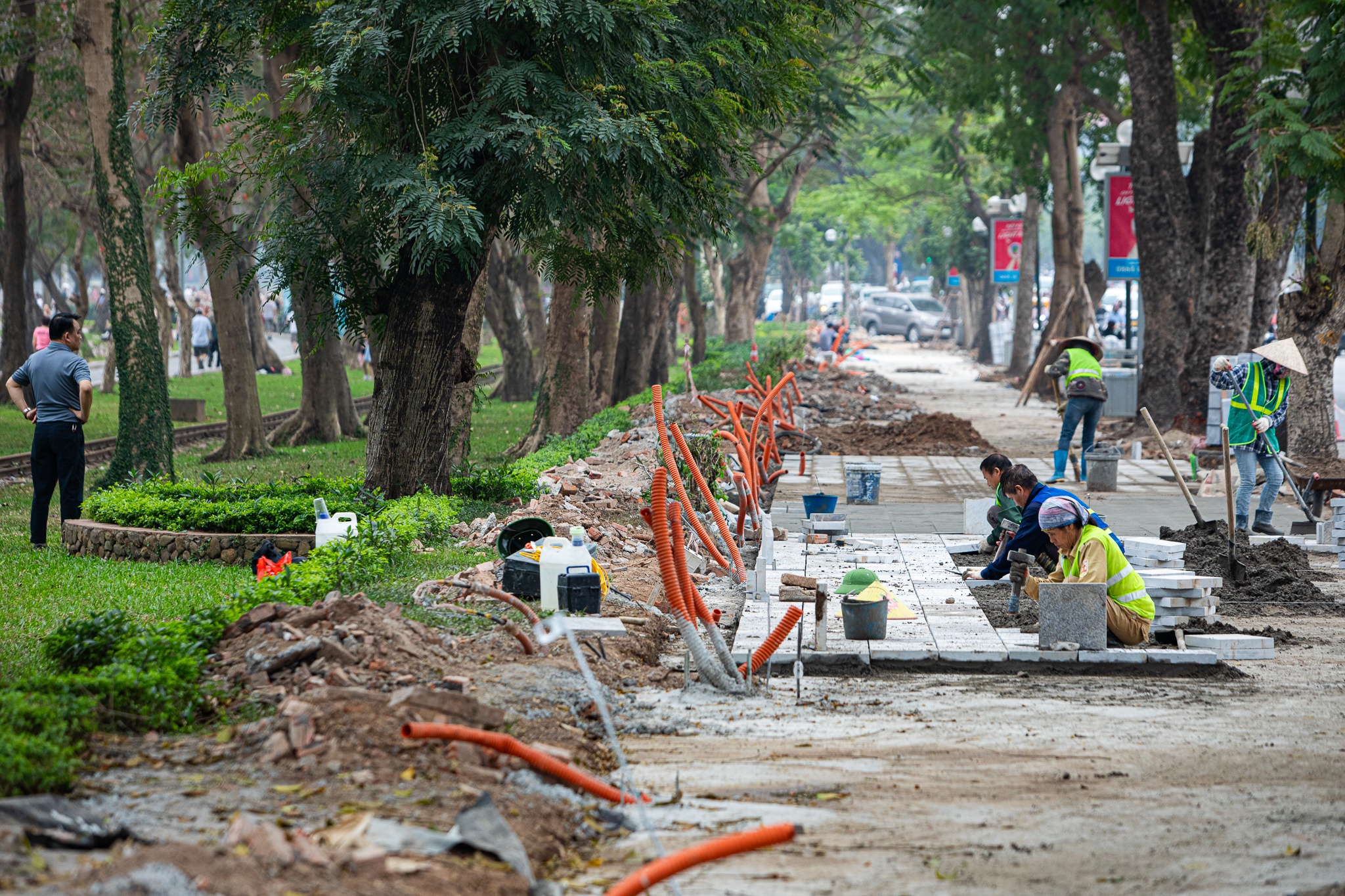 cac cong vien ha rao anh 17