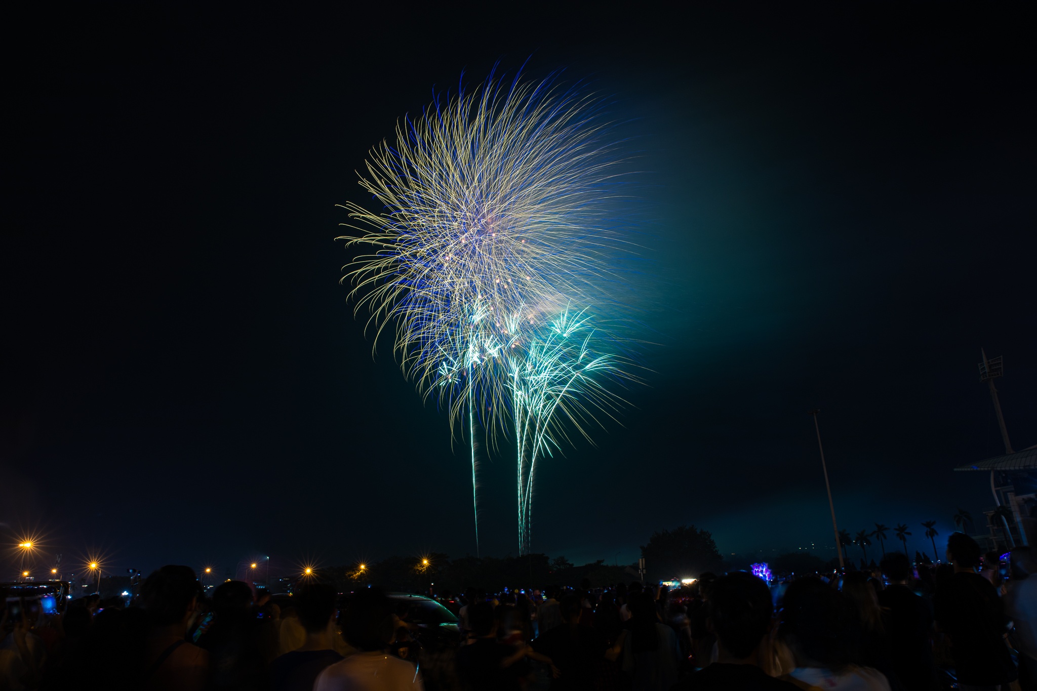 giai phong mien nam anh 13