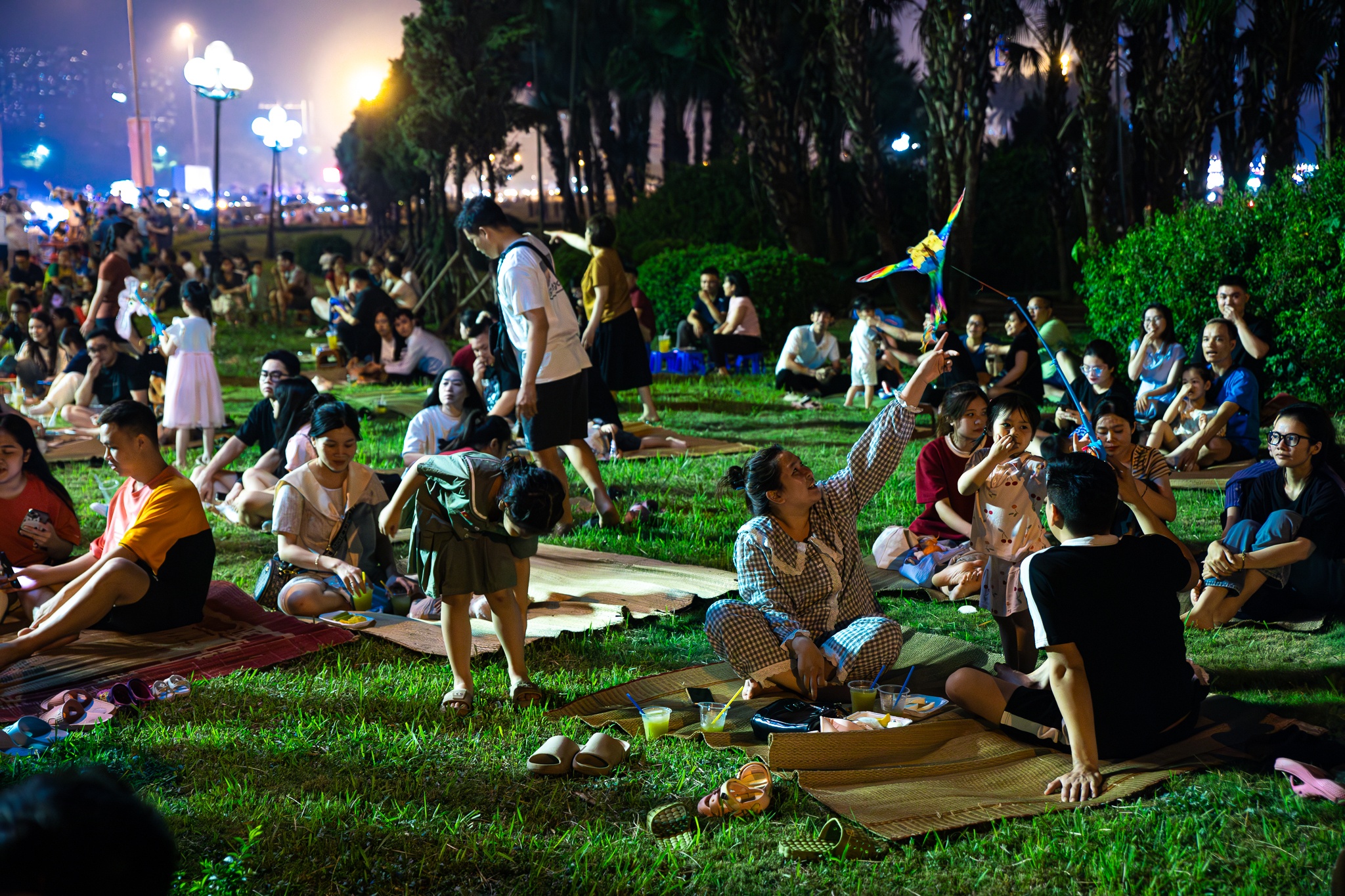 giai phong mien nam anh 2