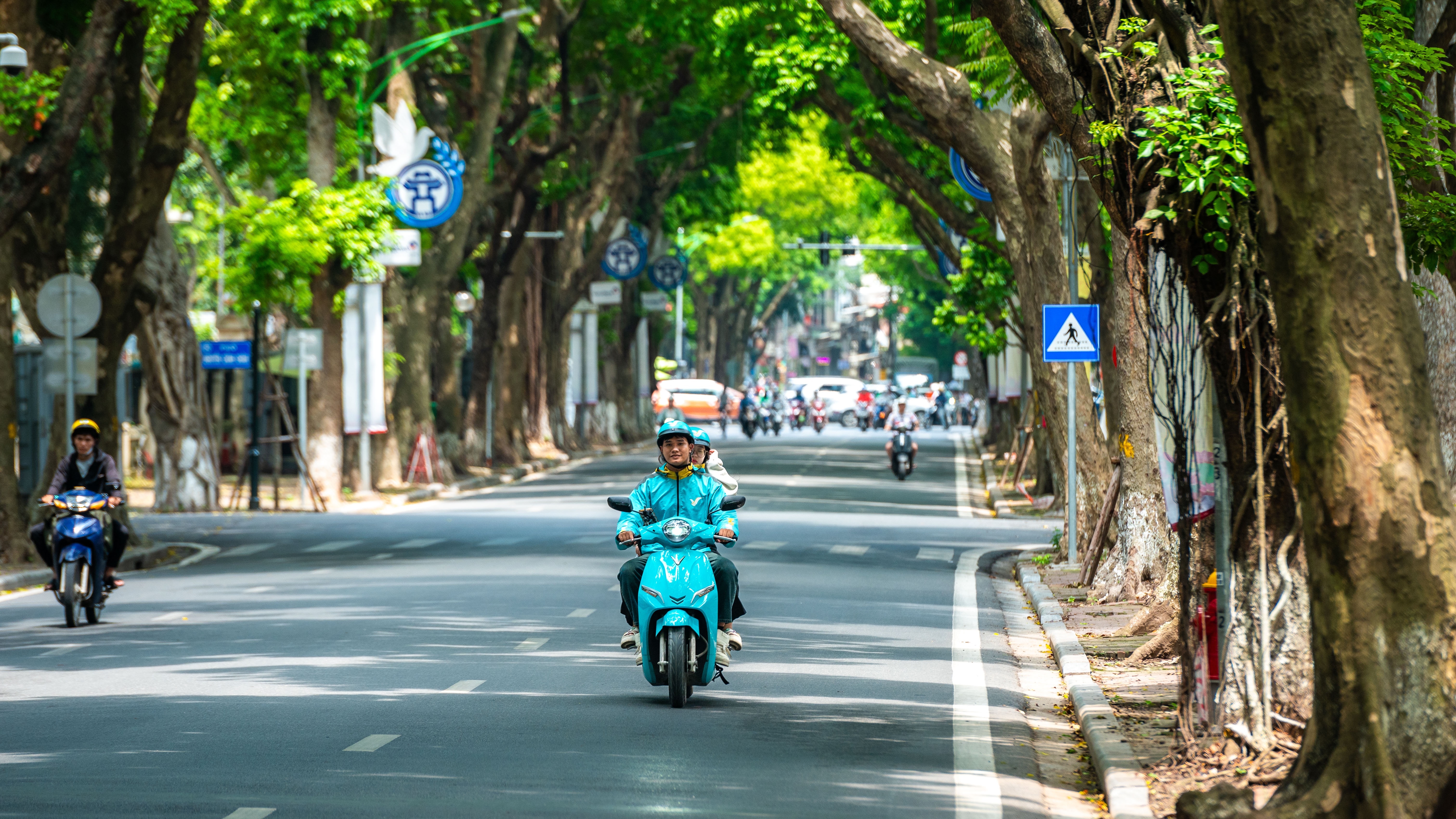 tai xe anh 19