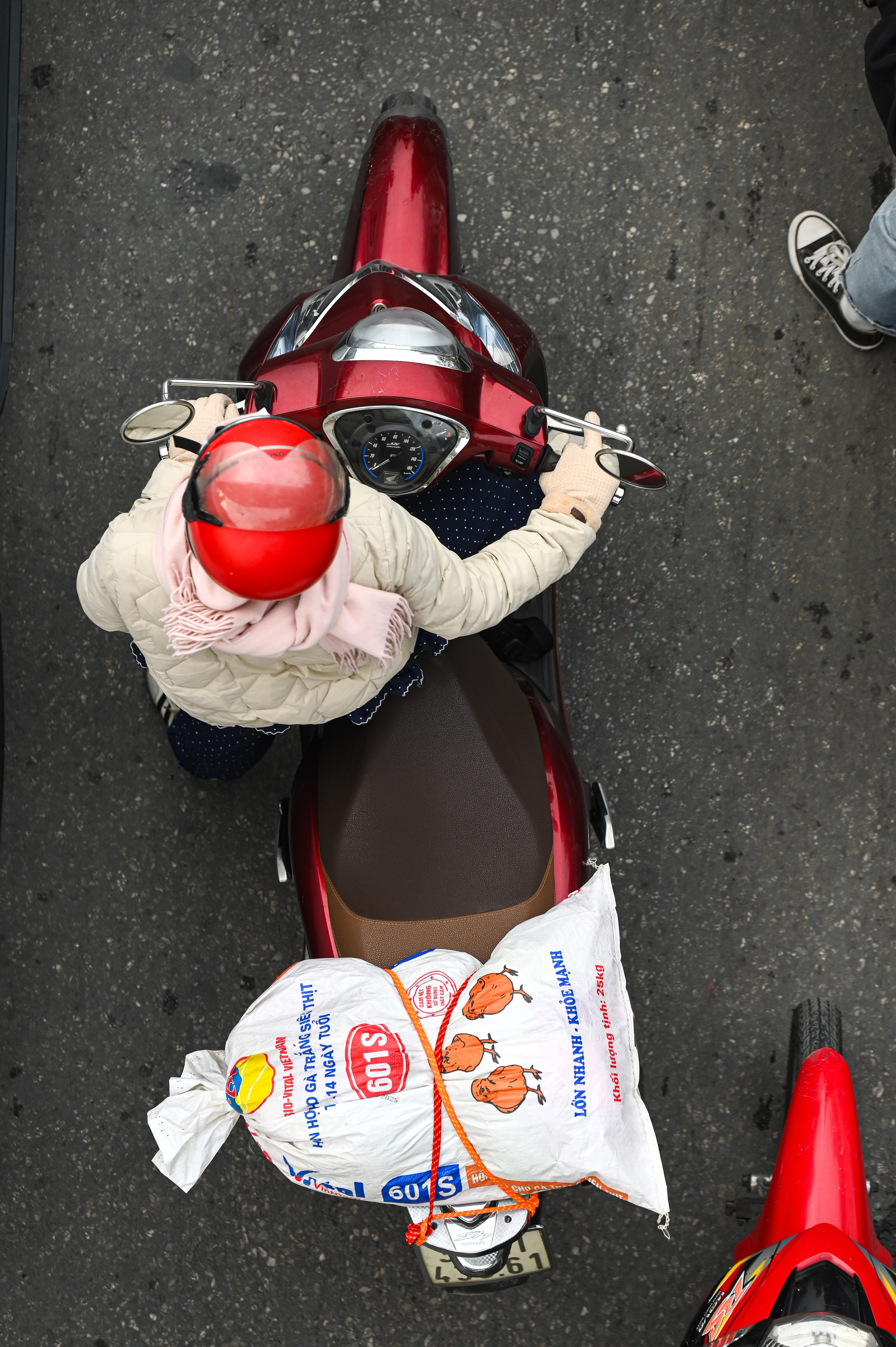 tro lai Ha Noi anh 7