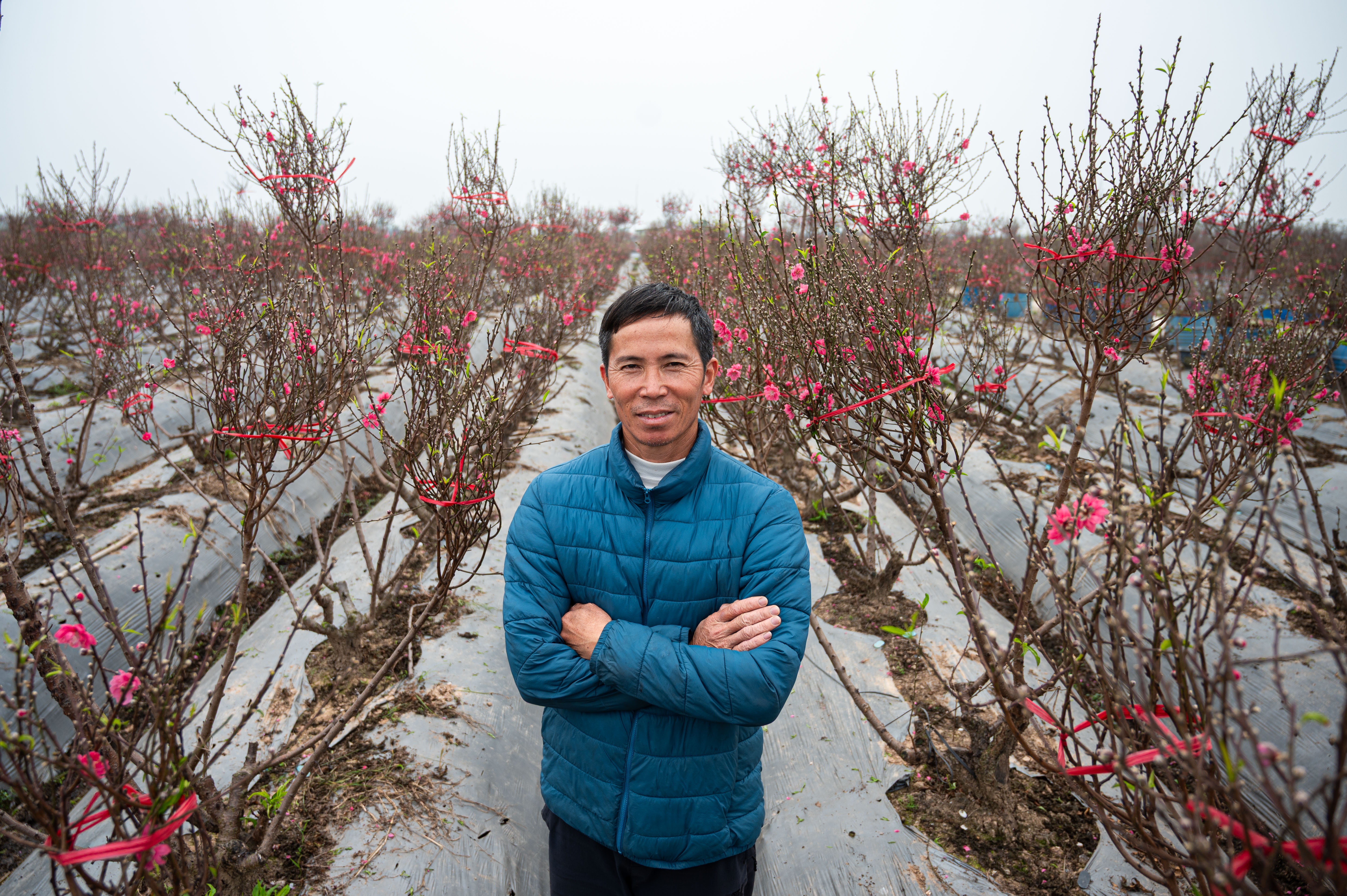 Nong dan trong dao buoc vao mua quan trong nhat nam hinh anh