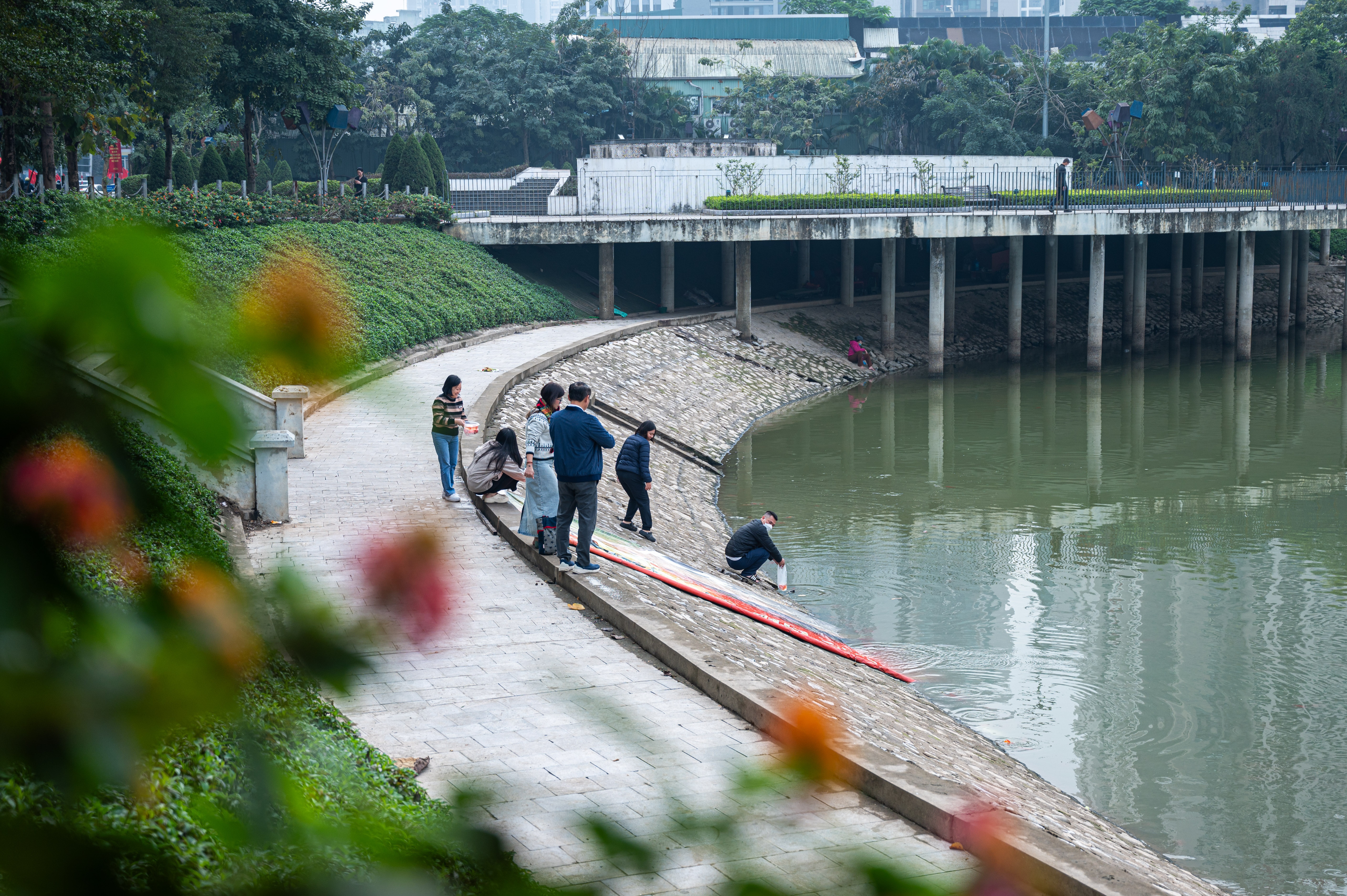 phong sinh ca ong tao anh 1