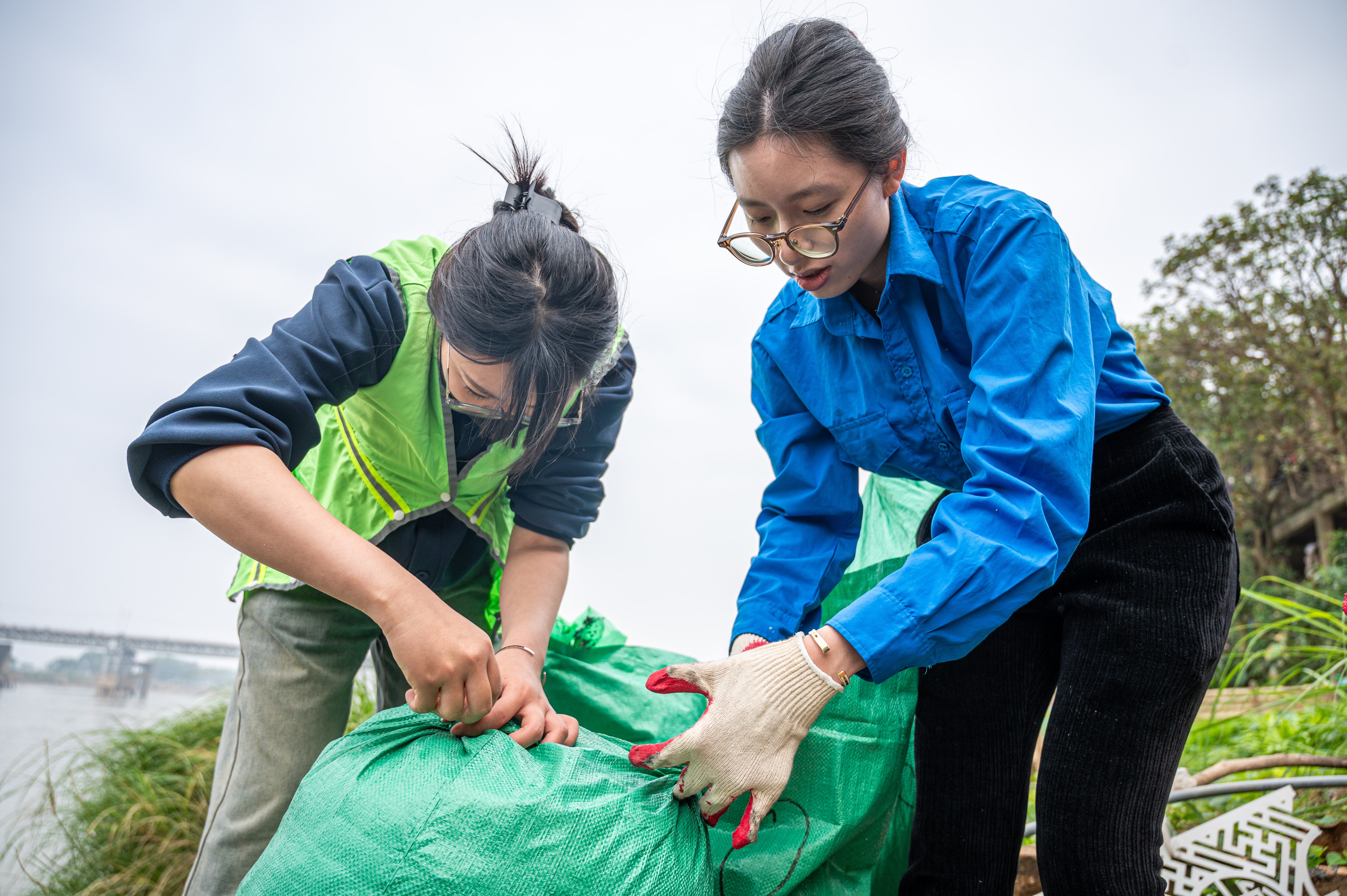 phong sinh ca ong tao anh 11