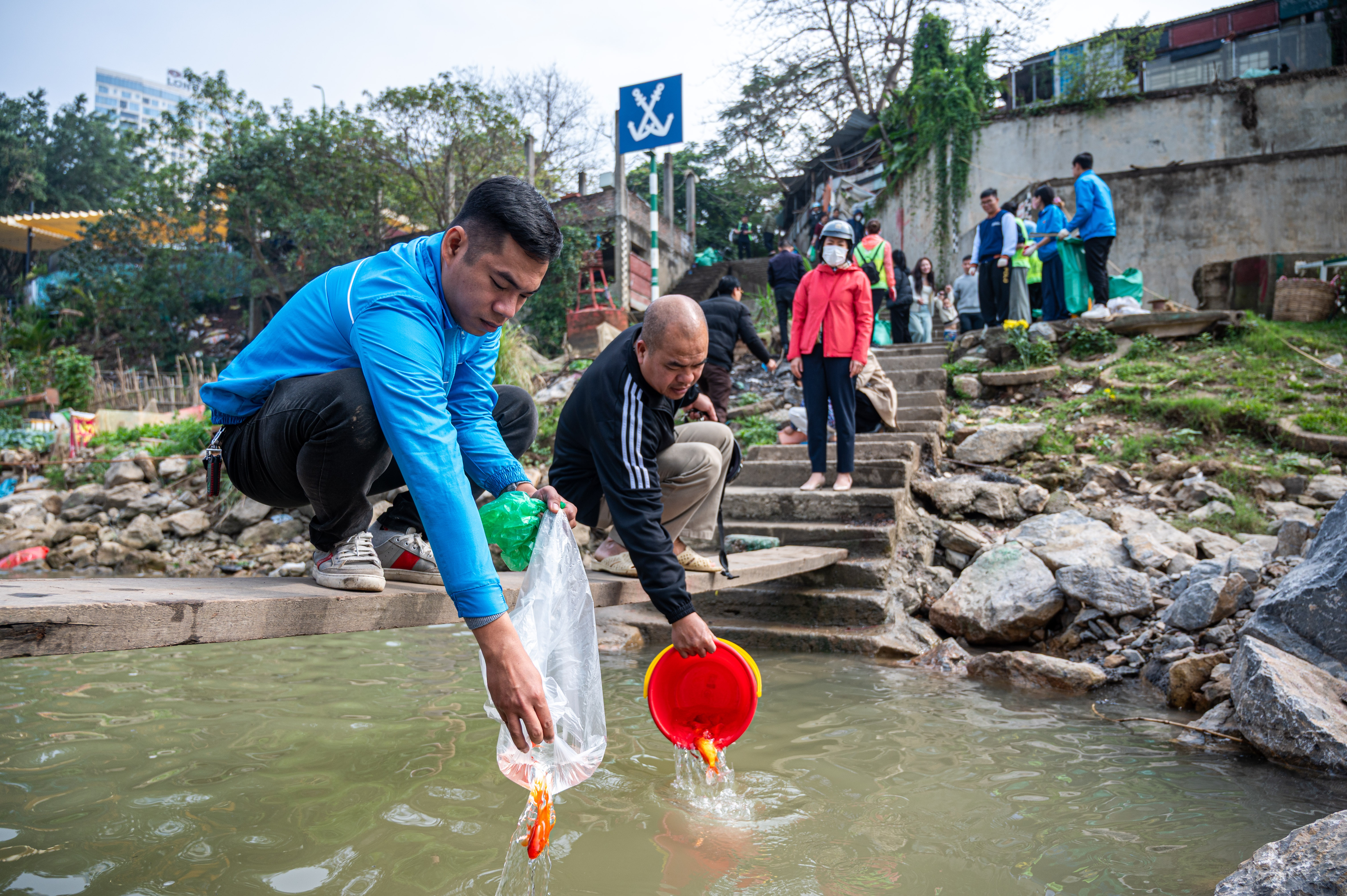 phong sinh ca ong tao anh 16