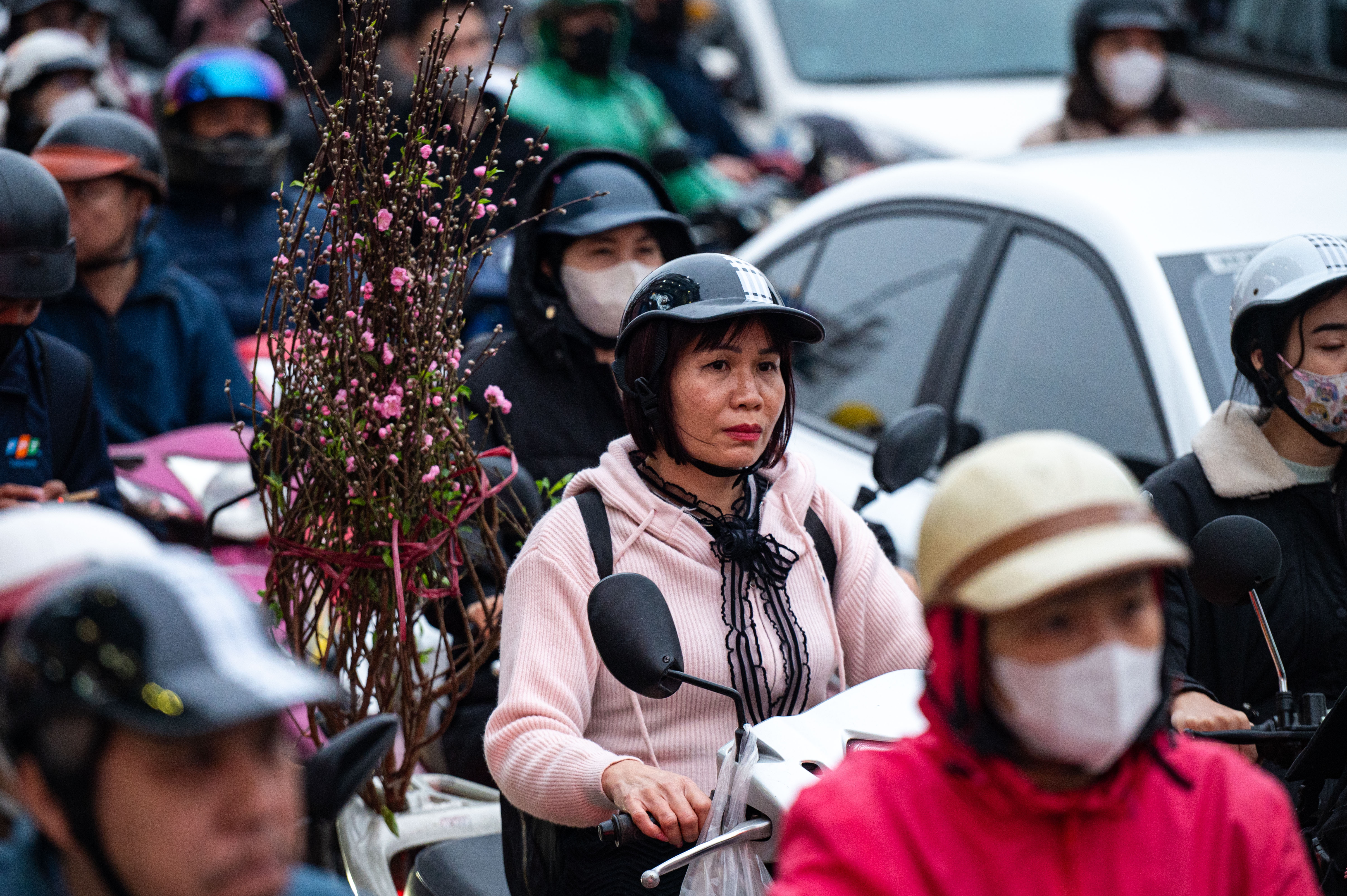 ham chui kim dong anh 16