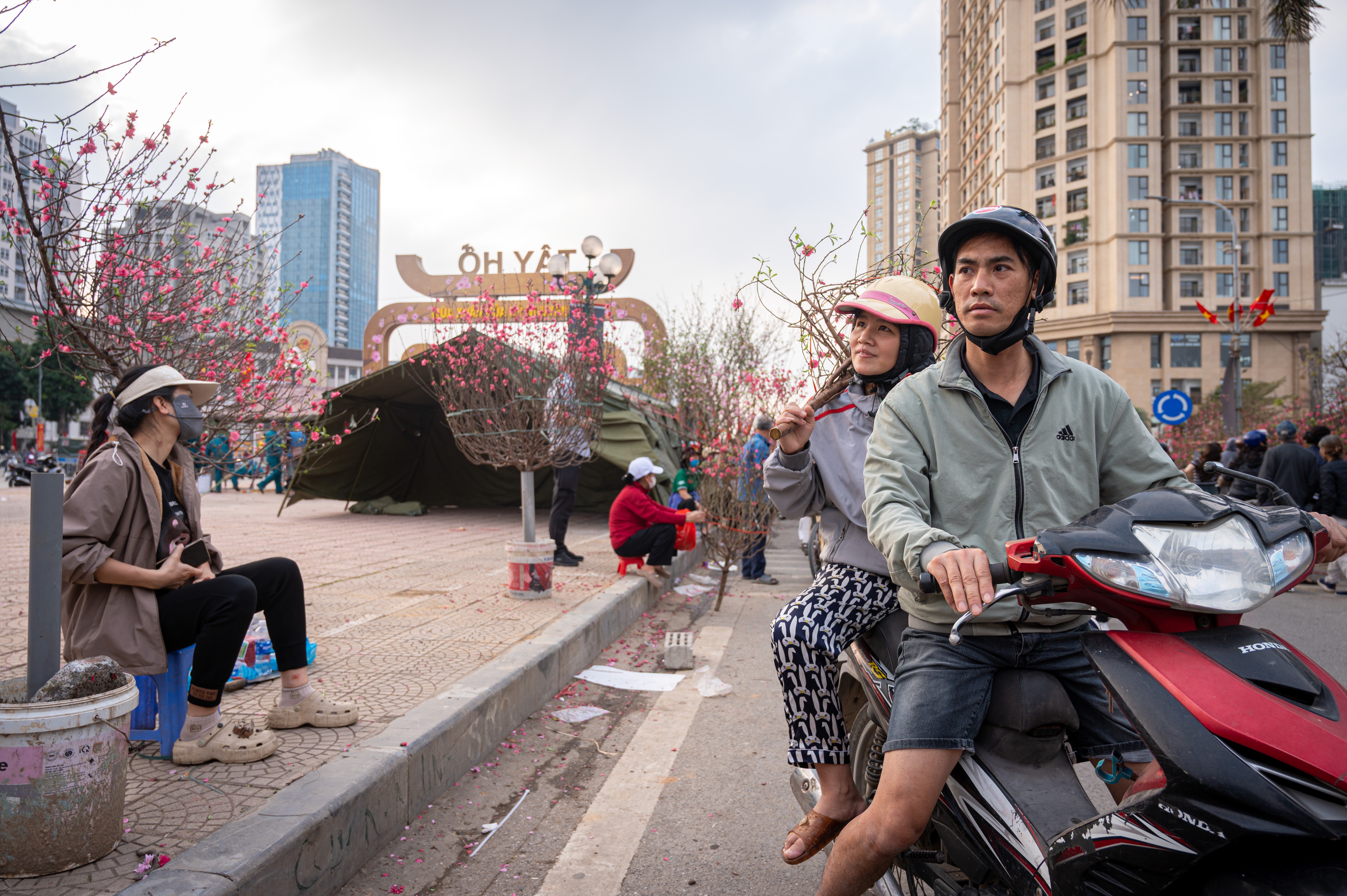 xa hang cay dao quat anh 3