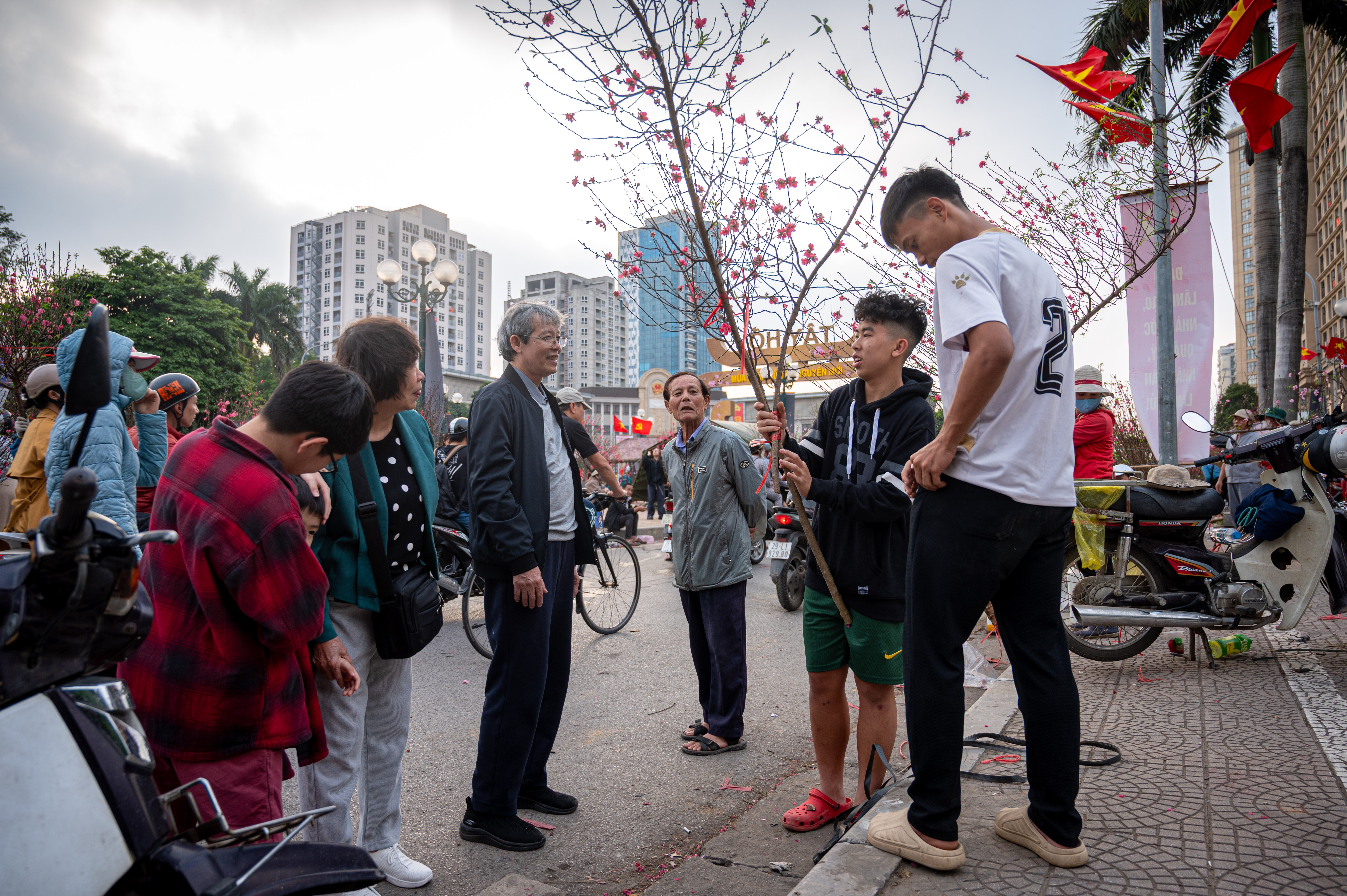 xa hang cay dao quat anh 7