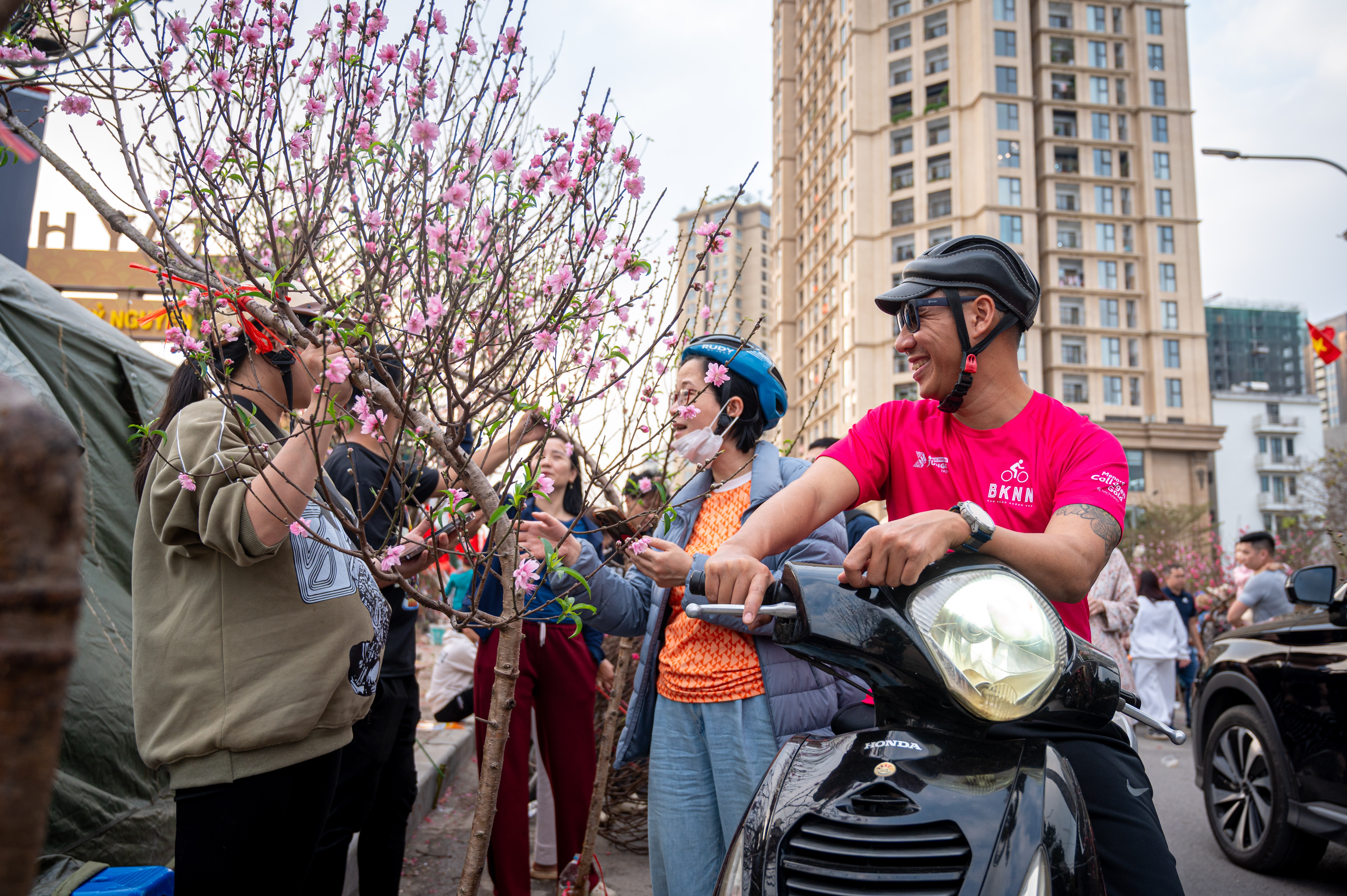 xa hang cay dao quat anh 5