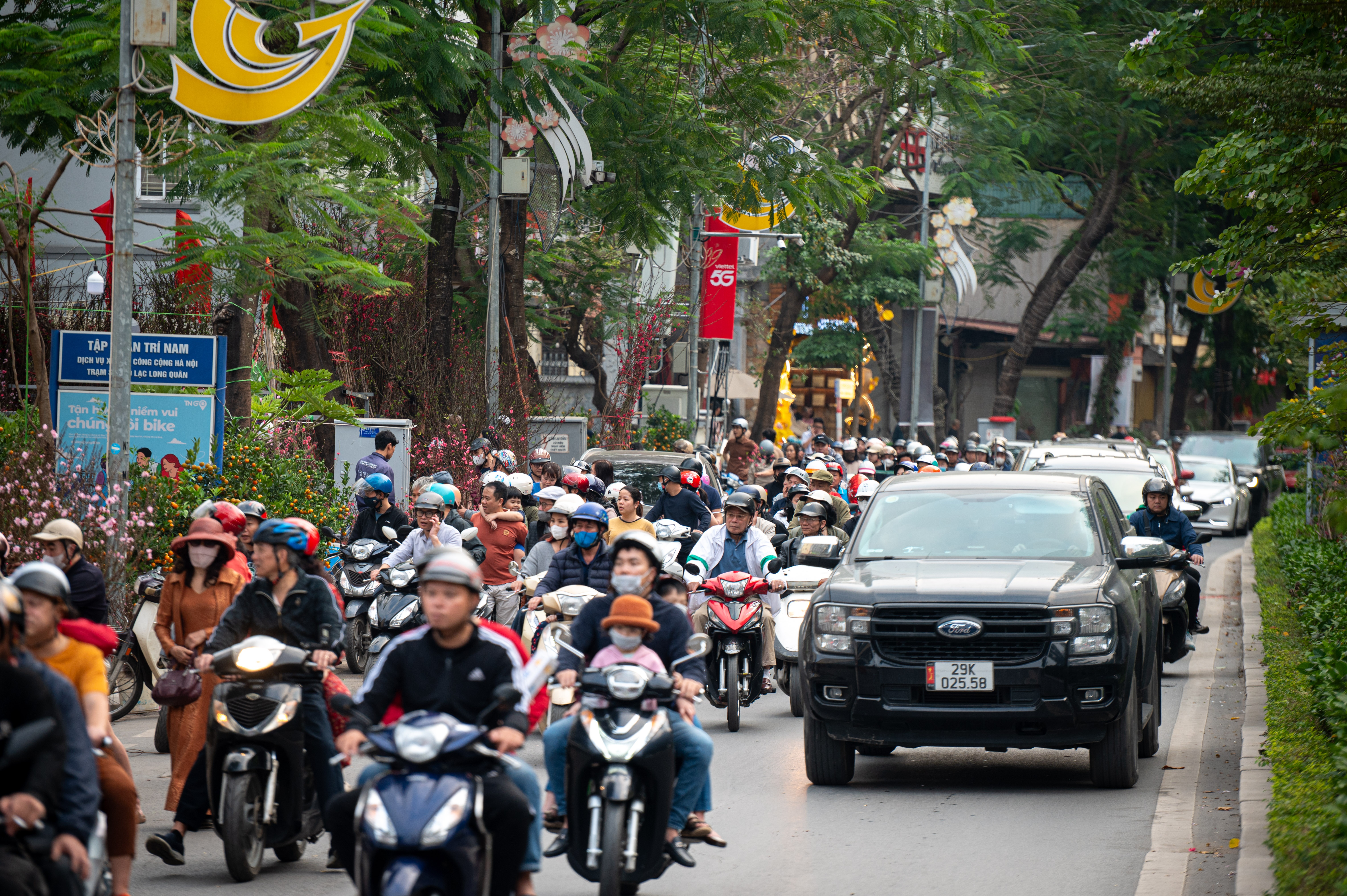 xa hang cay dao quat anh 2