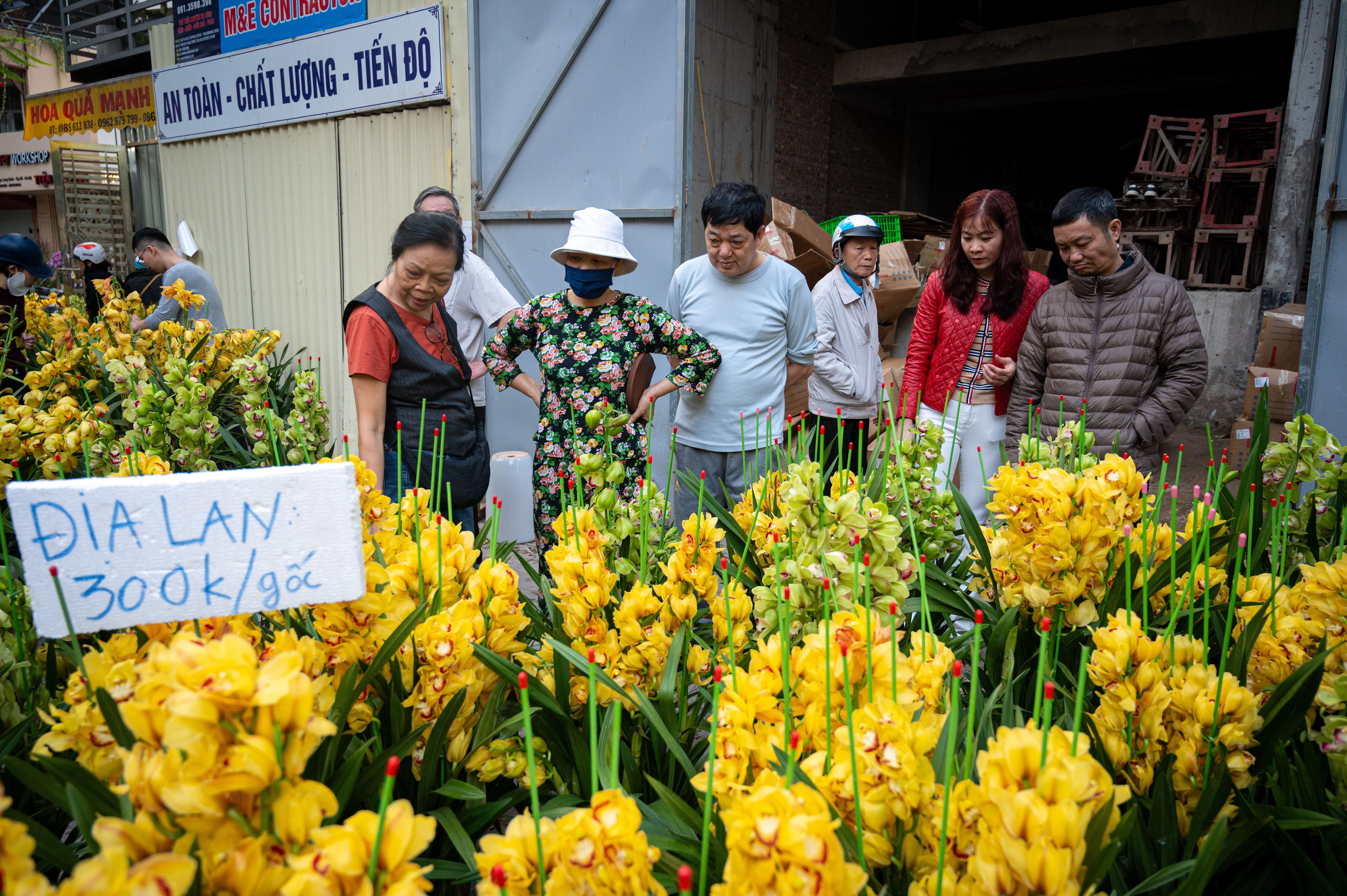 xa hang cay dao quat anh 11