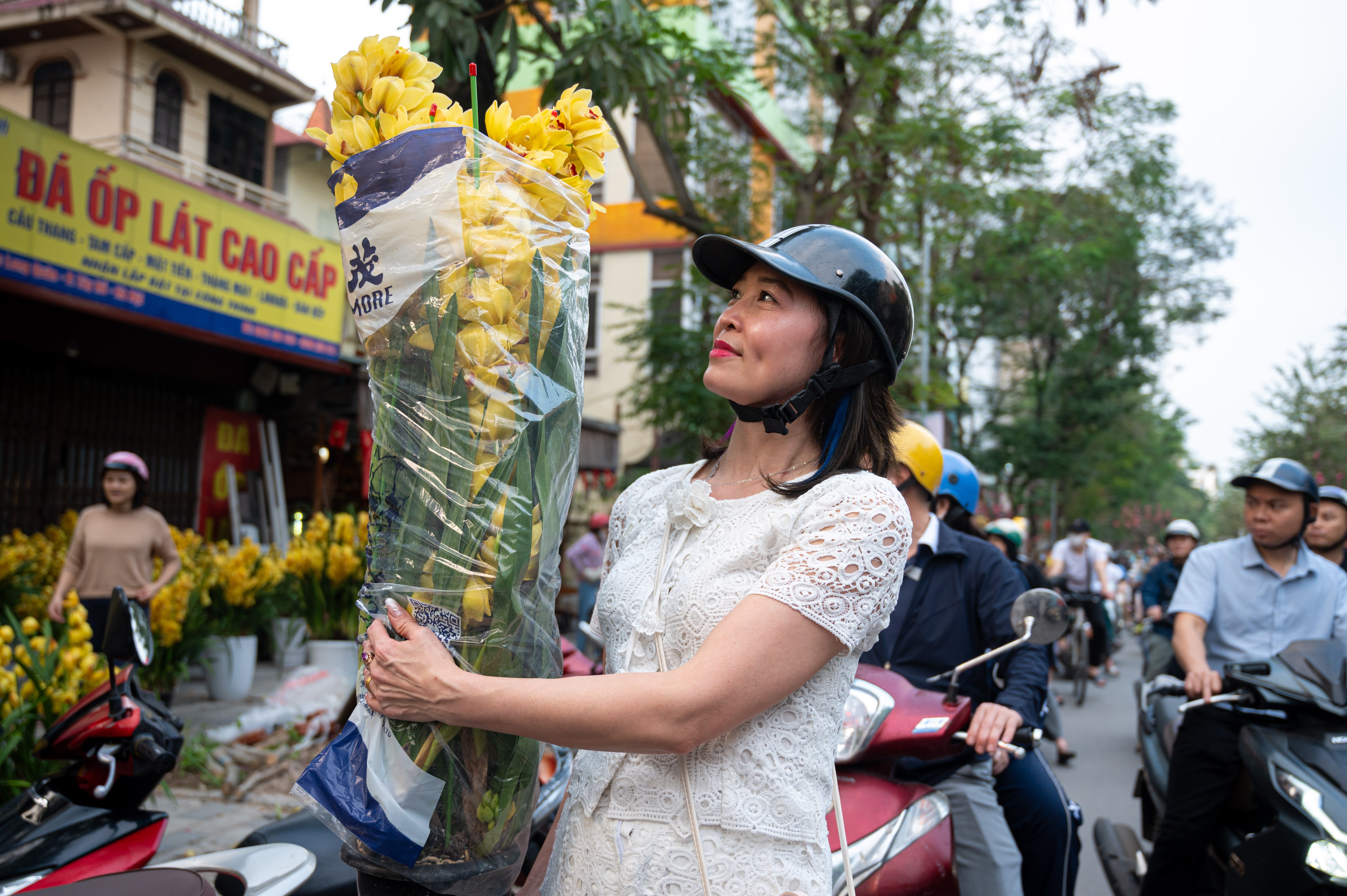 xa hang cay dao quat anh 12