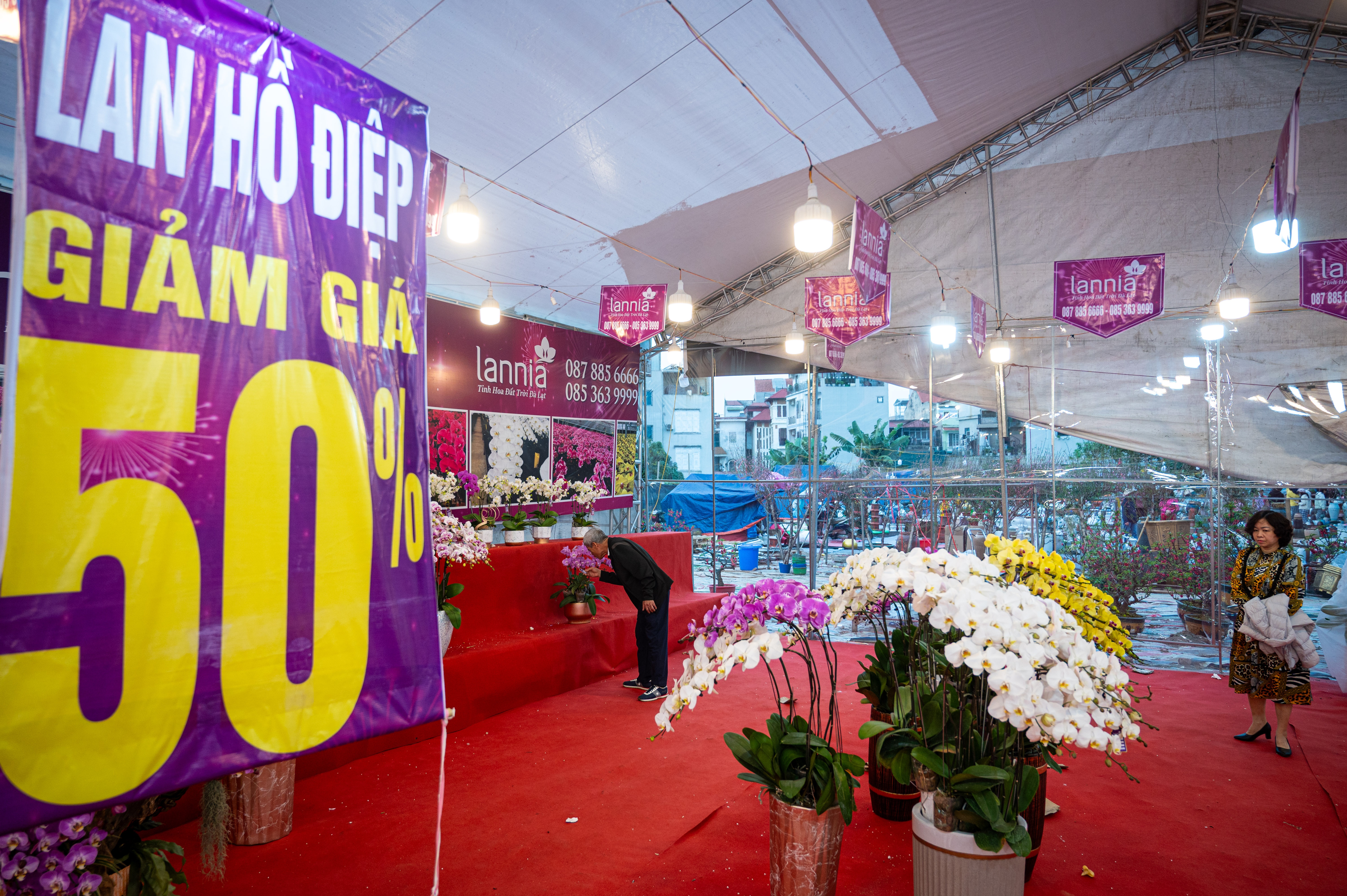 xa hang cay dao quat anh 15