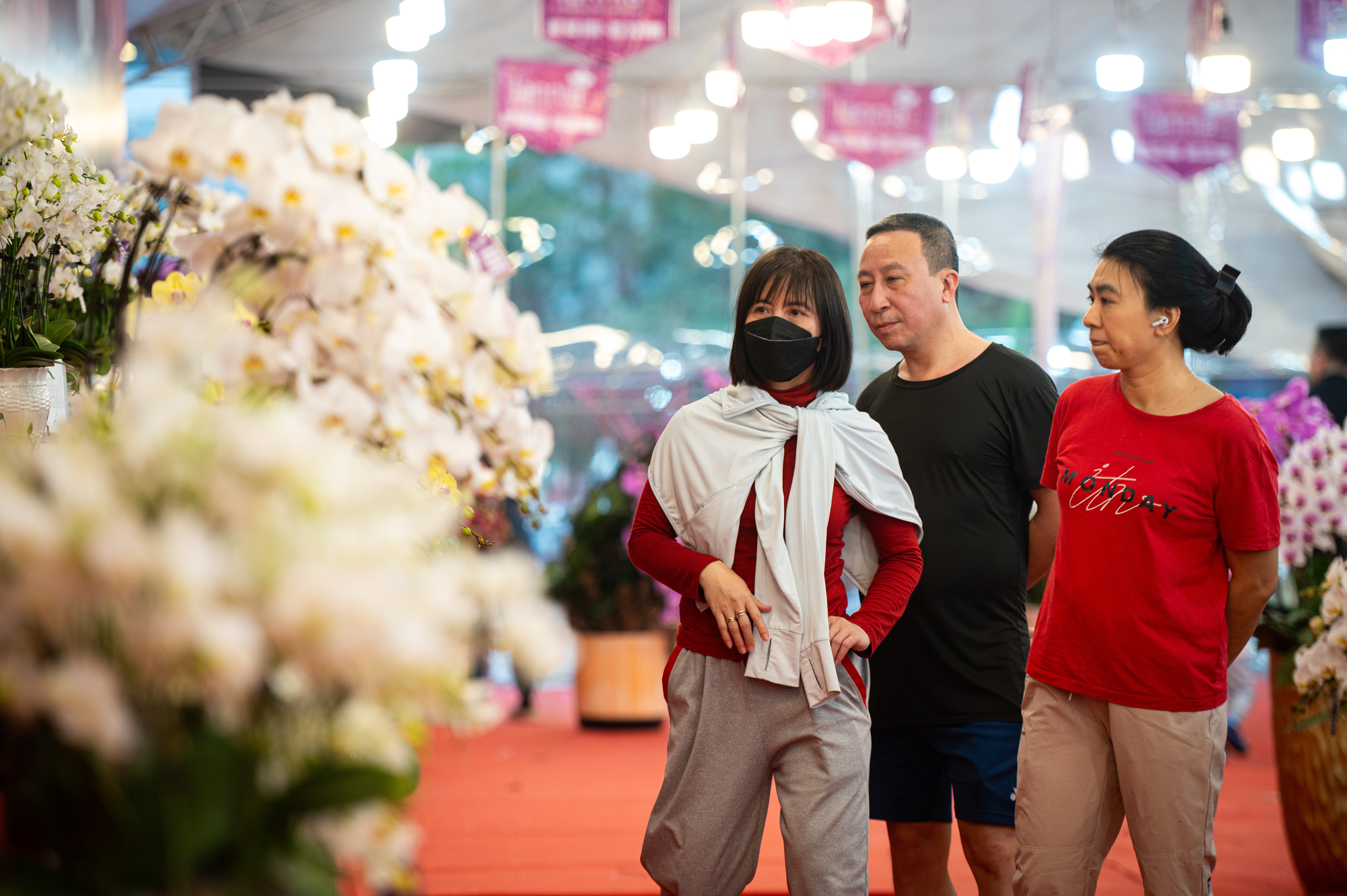 xa hang cay dao quat anh 19