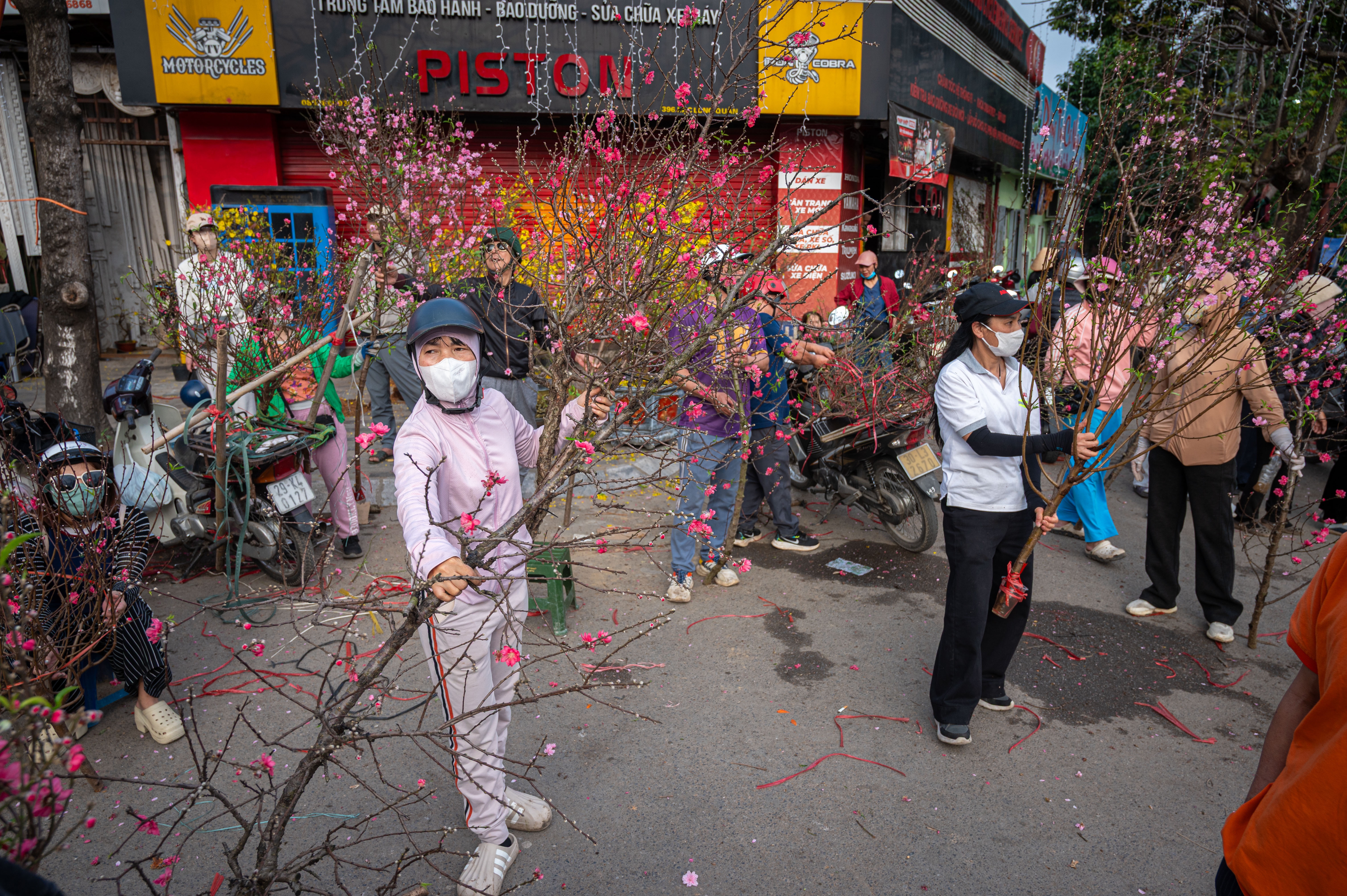 xa hang cay dao quat anh 1