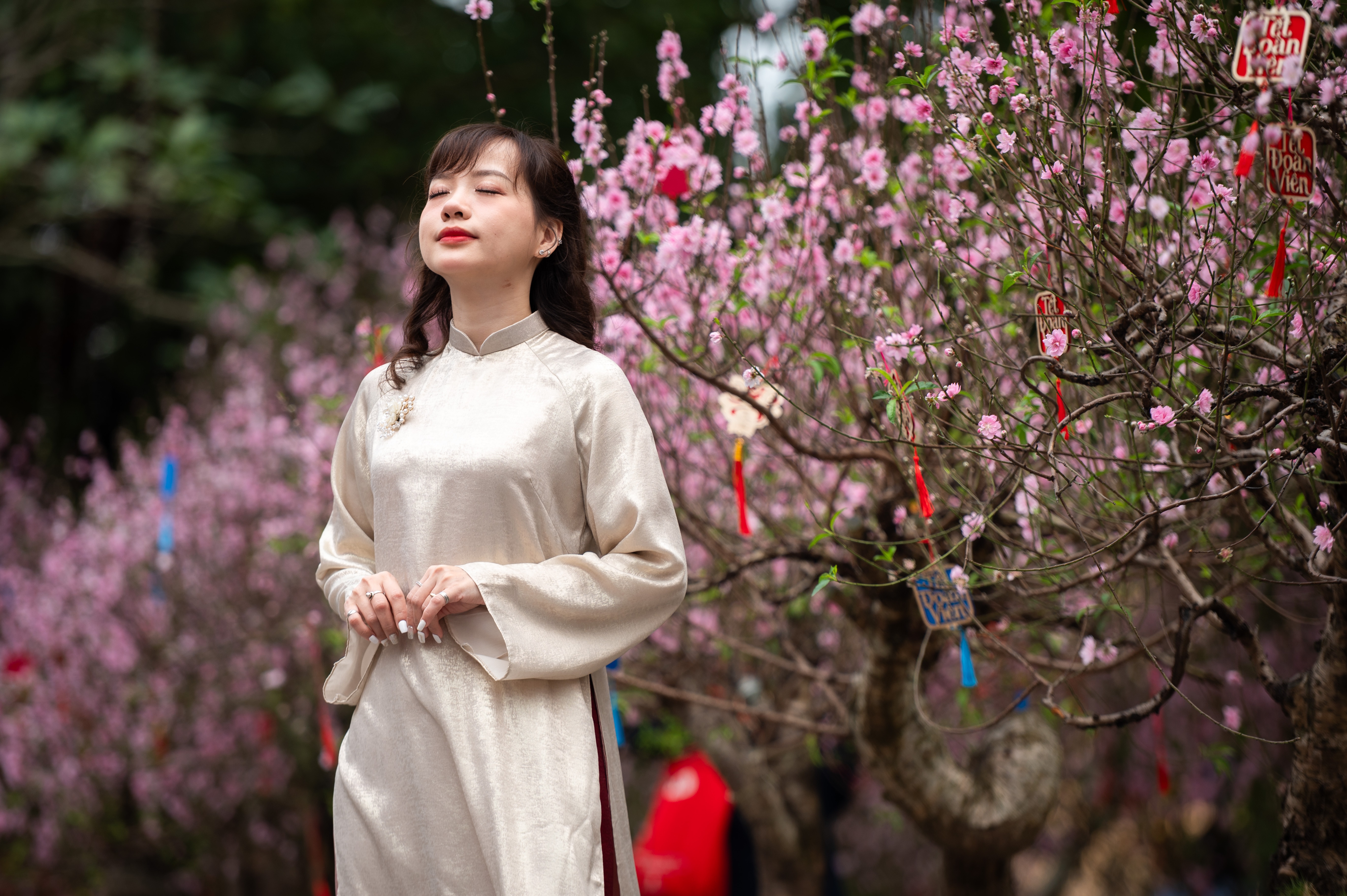 Diem check-in hoa dao 'hot' bac nhat Ha Noi hinh anh