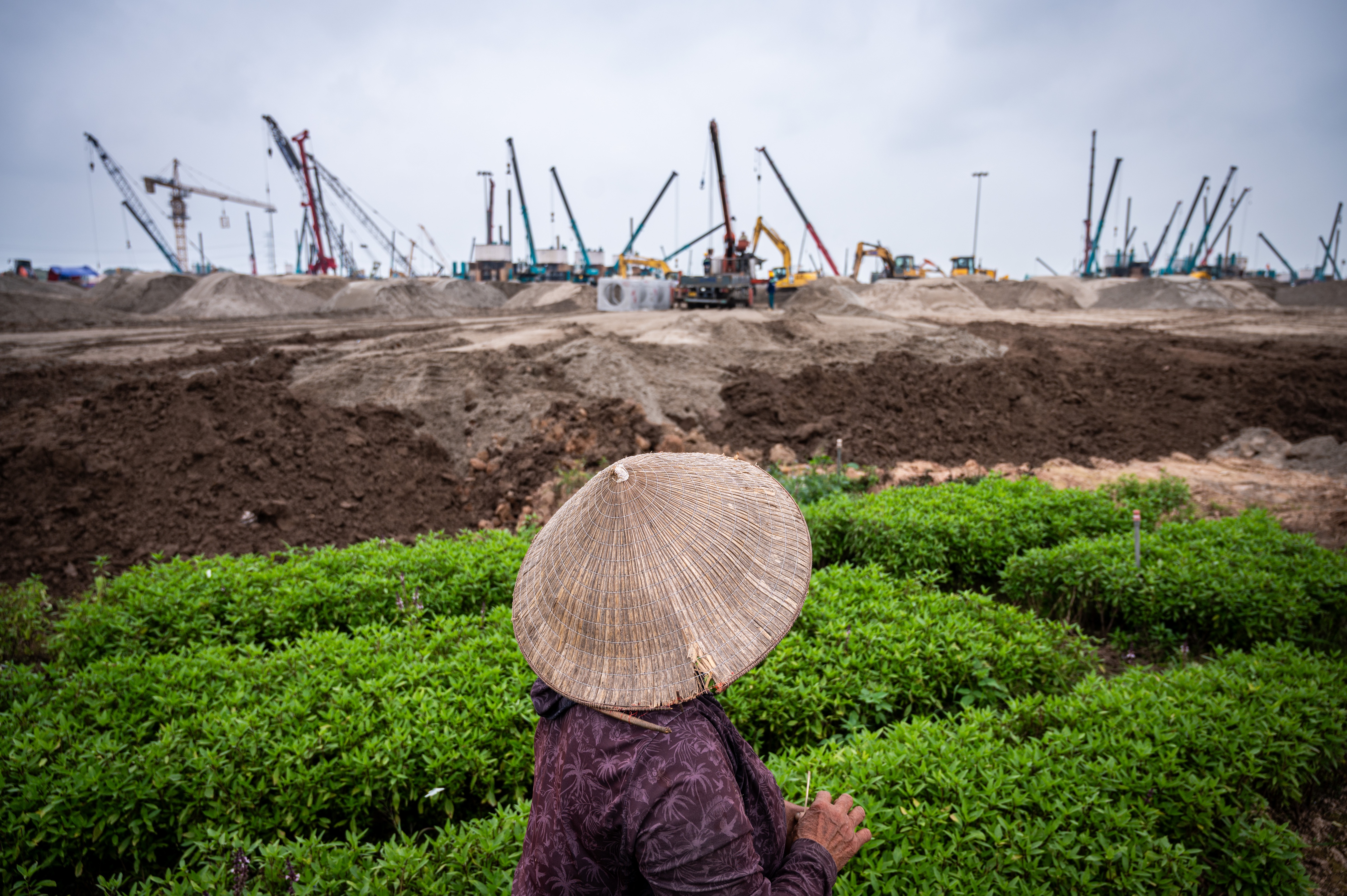 san van dong trong dong anh 11