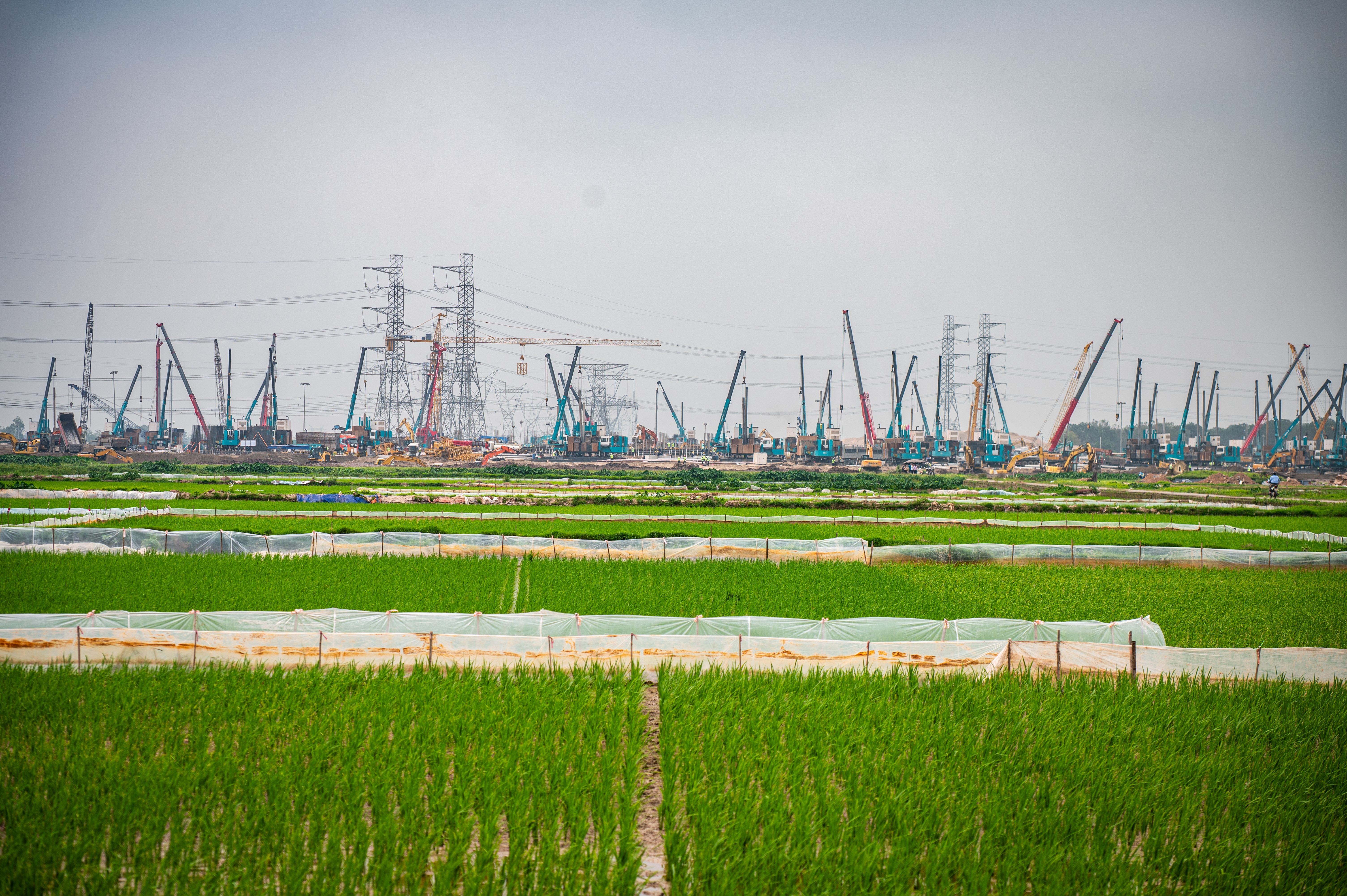 san van dong trong dong anh 12