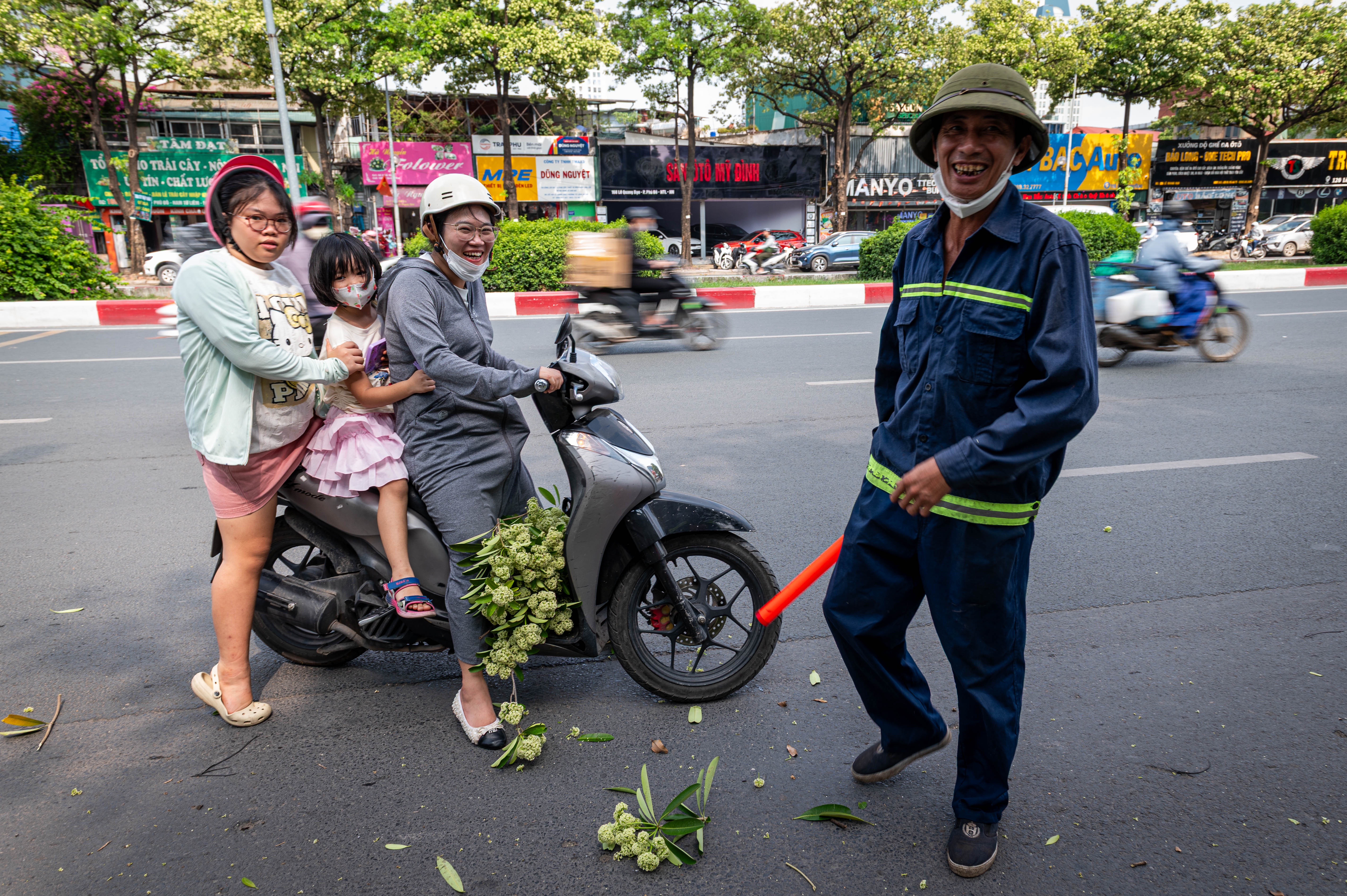 hoa sữa ảnh 14