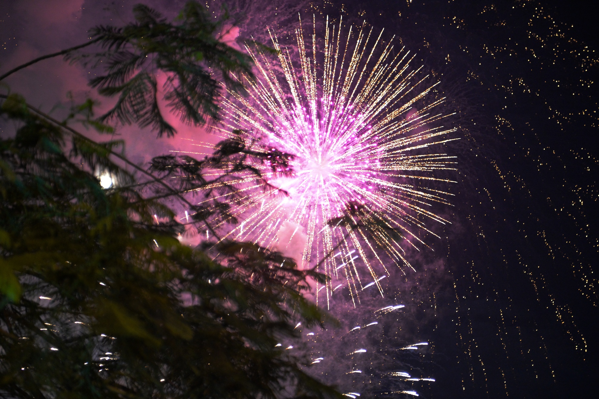 hang nghin nguoi don xem phao hoa o Sai Gon anh 5