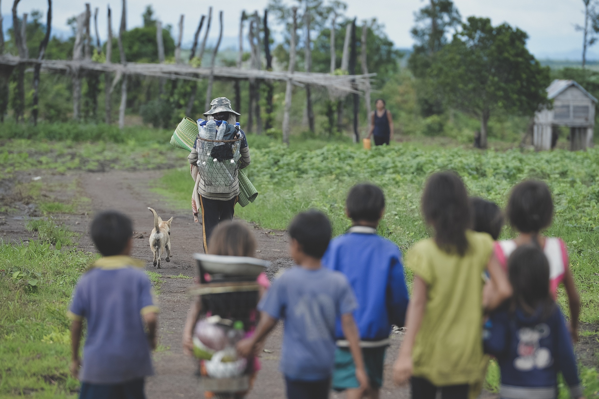 Tay Nguyen,  dan toc,  dong bao,  thieu so anh 16