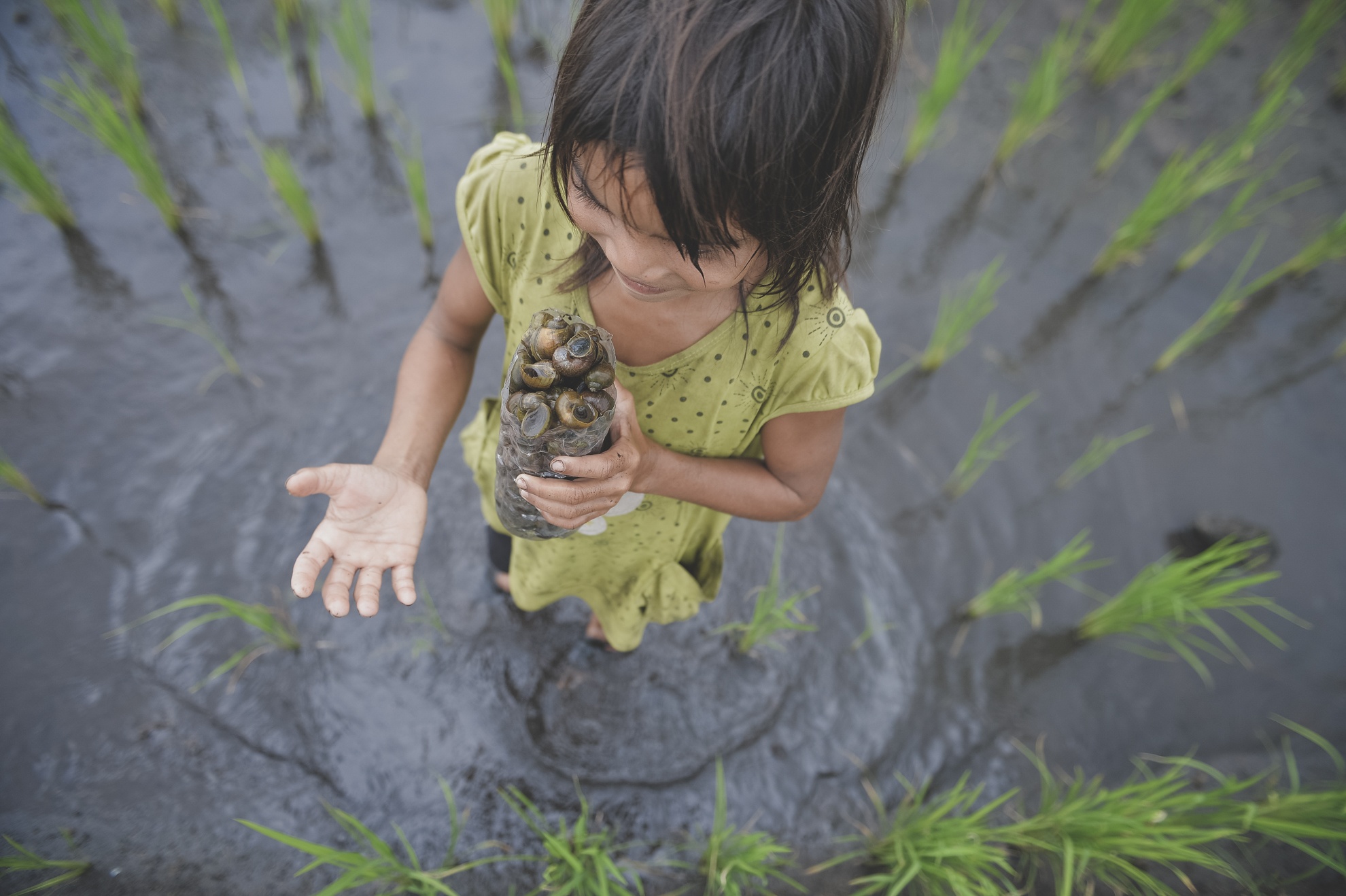 Tay Nguyen,  dan toc,  dong bao,  thieu so anh 25