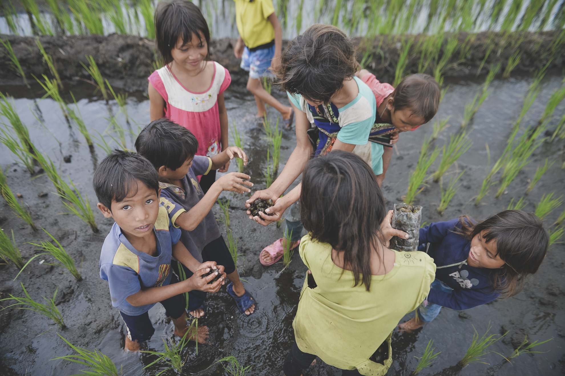 Tay Nguyen,  dan toc,  dong bao,  thieu so anh 26