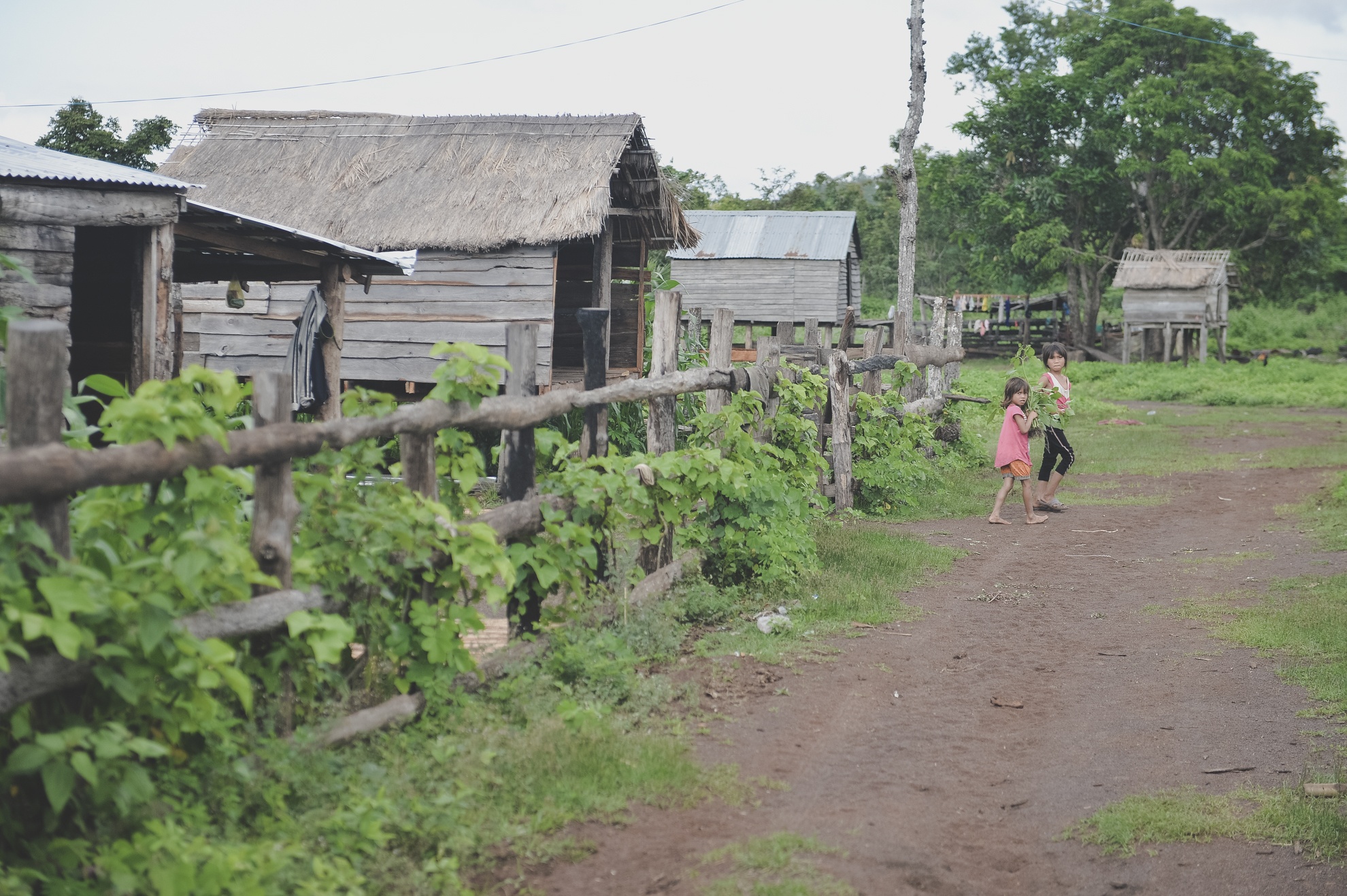 Tay Nguyen,  dan toc,  dong bao,  thieu so anh 14
