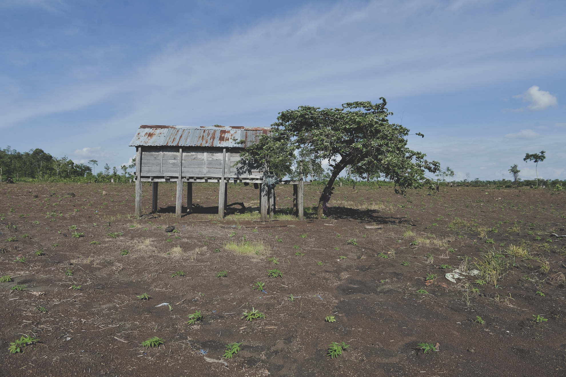 Tay Nguyen,  dan toc,  dong bao,  thieu so anh 6