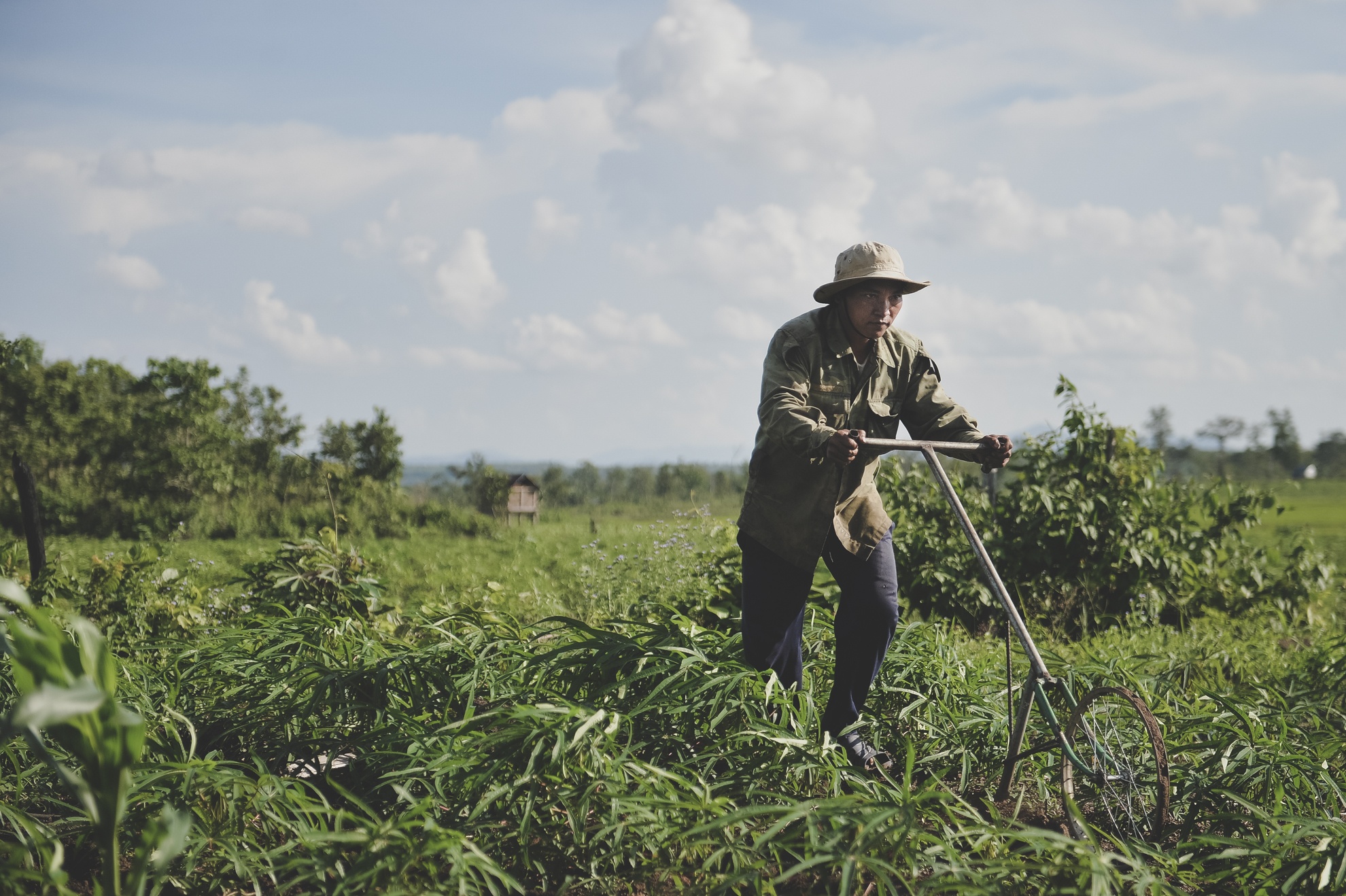 Tay Nguyen,  dan toc,  dong bao,  thieu so anh 10
