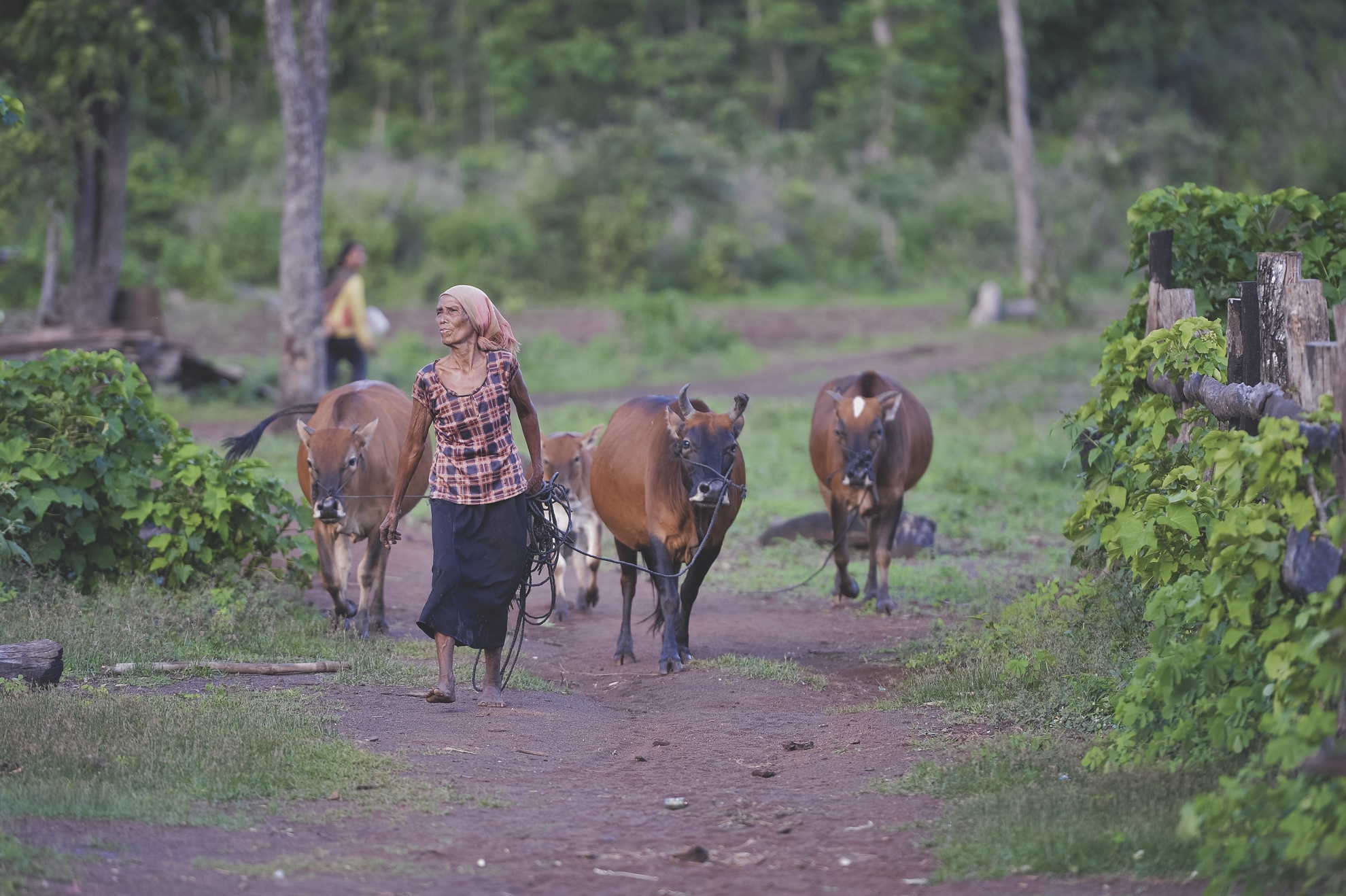 Tay Nguyen,  dan toc,  dong bao,  thieu so anh 34