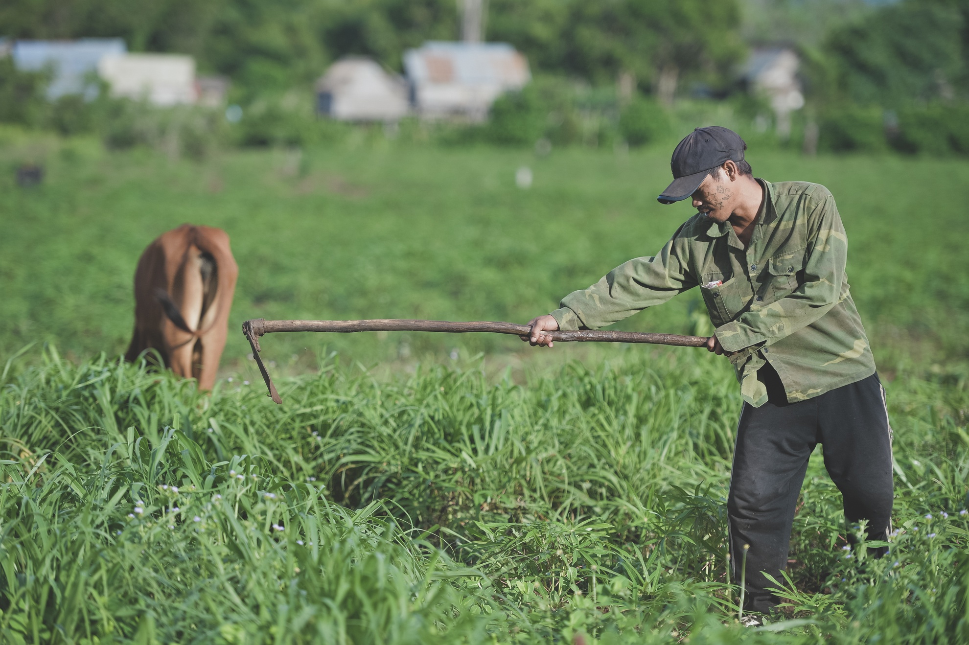 Tay Nguyen,  dan toc,  dong bao,  thieu so anh 9