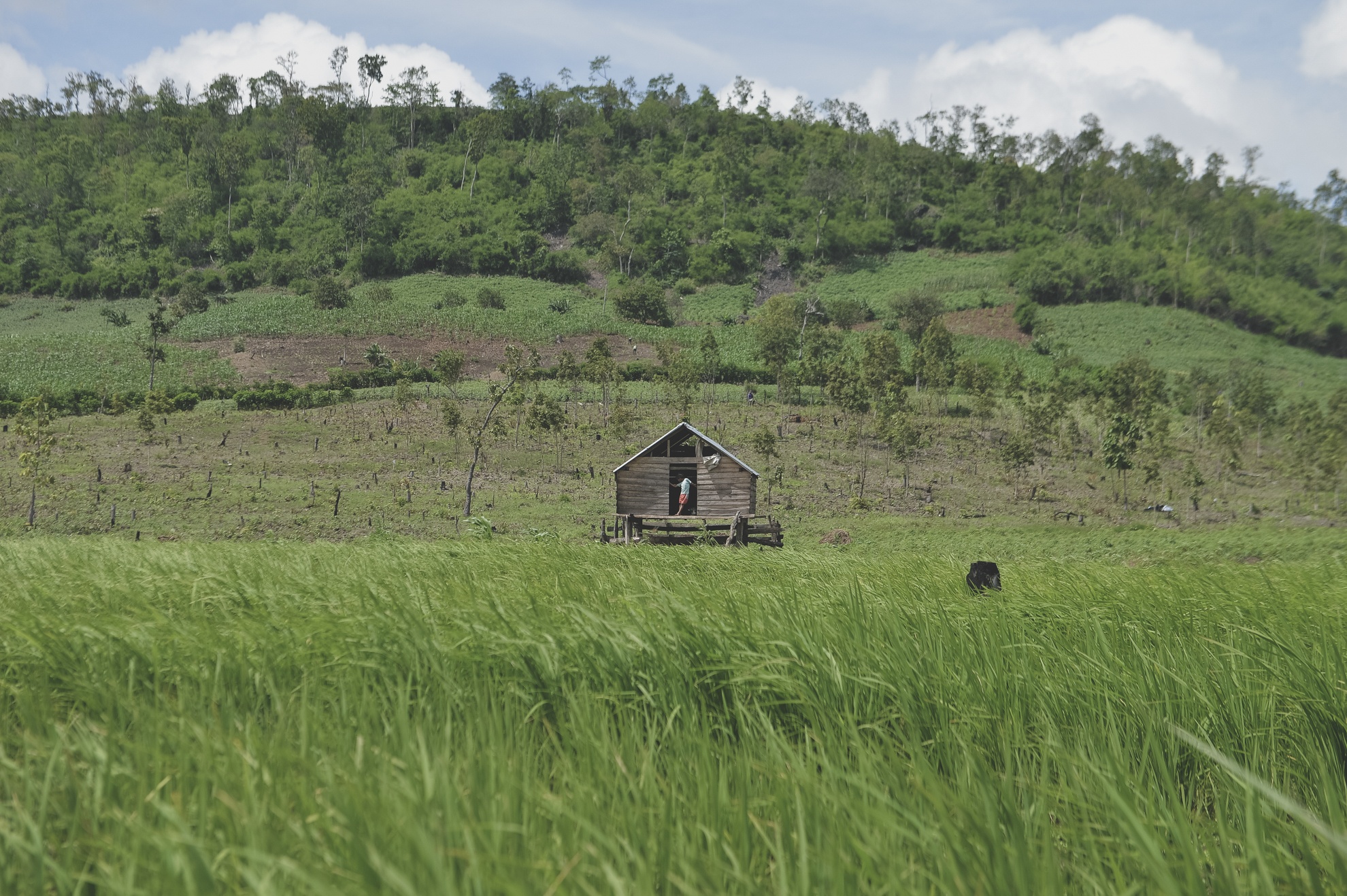 Tay Nguyen,  dan toc,  dong bao,  thieu so anh 42