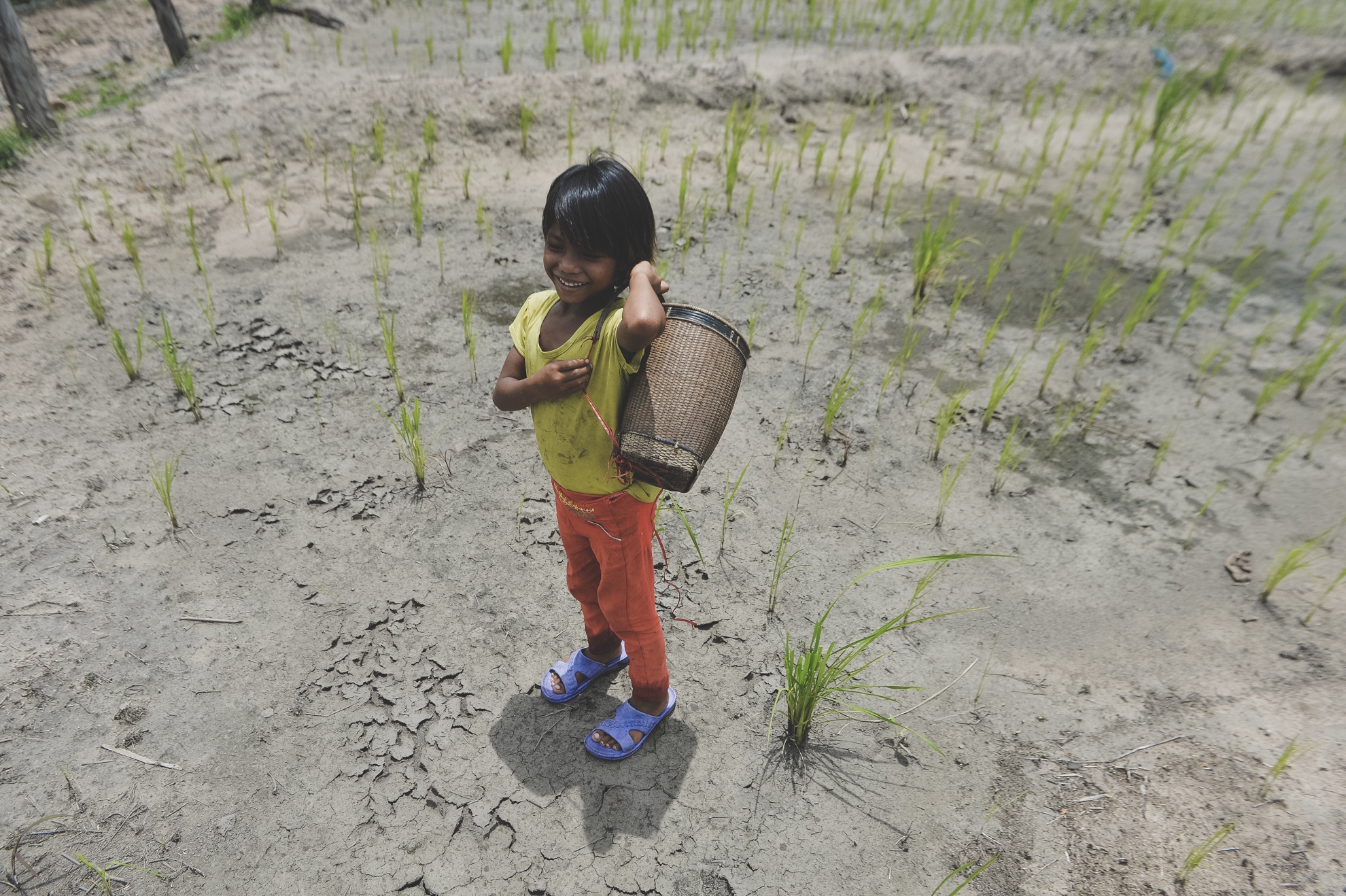 Tay Nguyen,  dan toc,  dong bao,  thieu so anh 24