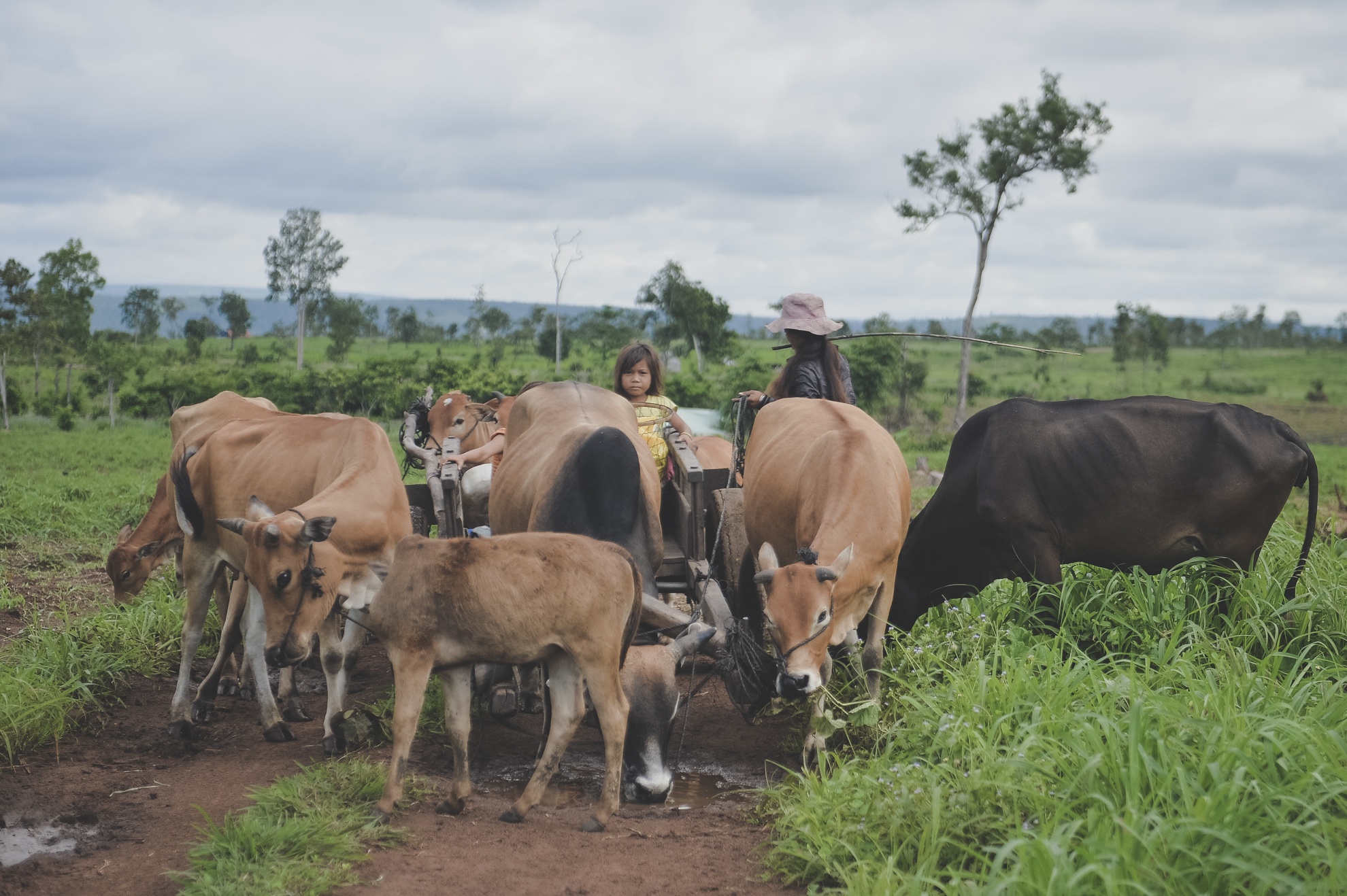 Tay Nguyen,  dan toc,  dong bao,  thieu so anh 36