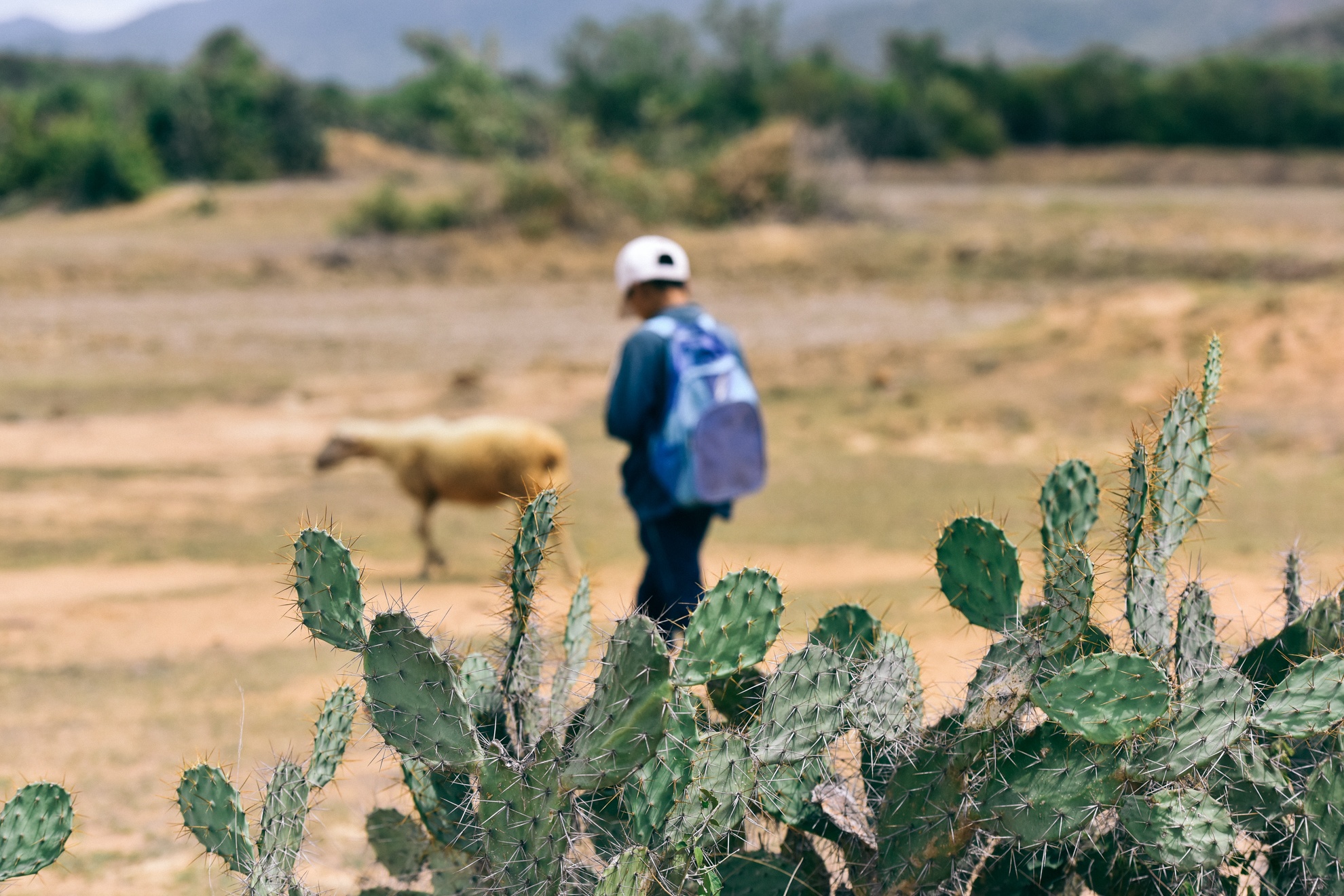 Nguoi chan cuu Ninh Thuan anh 6