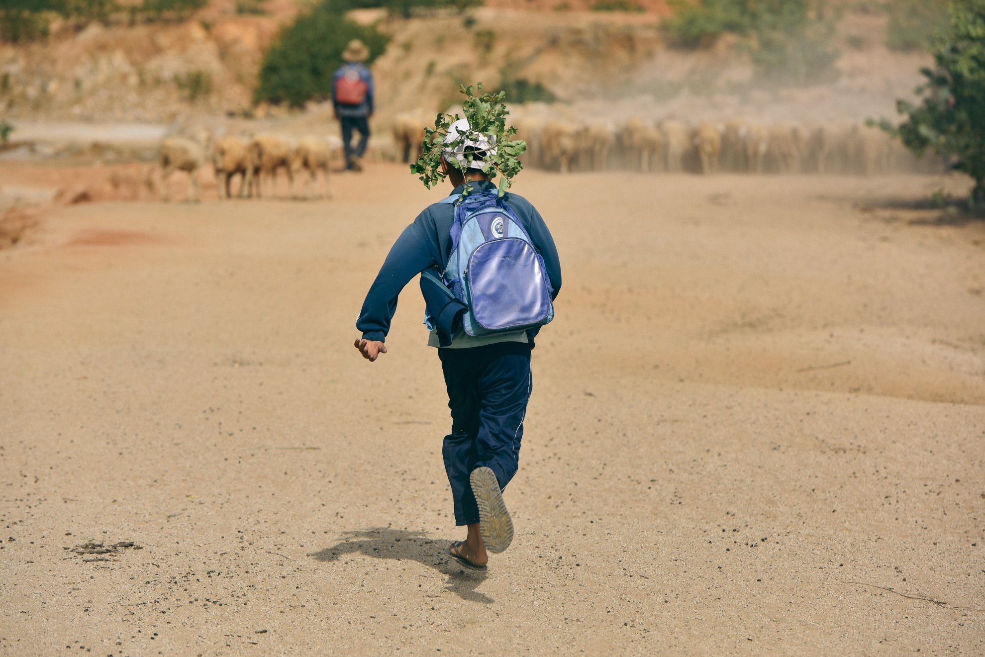 Nguoi chan cuu Ninh Thuan anh 8