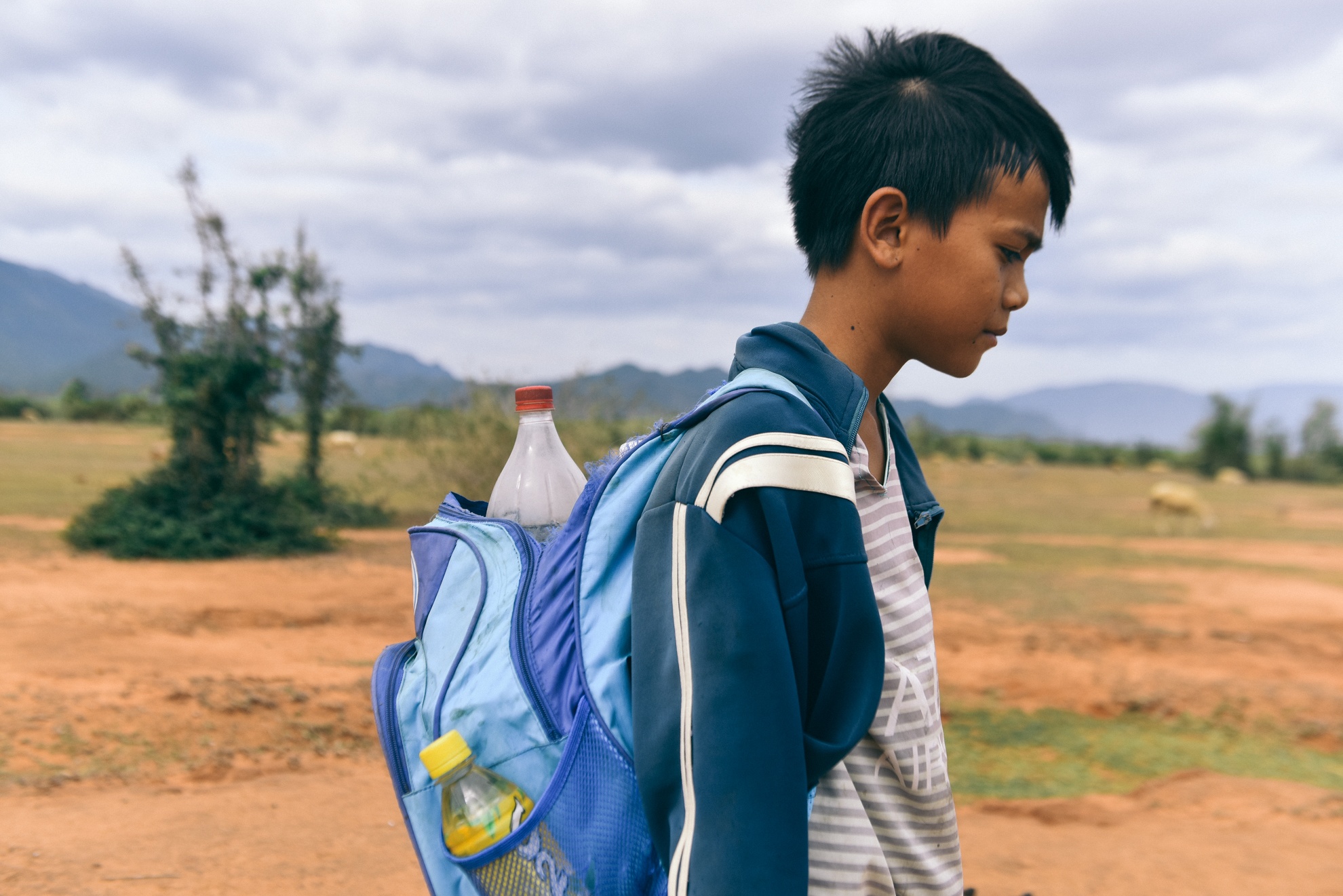 Nguoi chan cuu Ninh Thuan anh 4