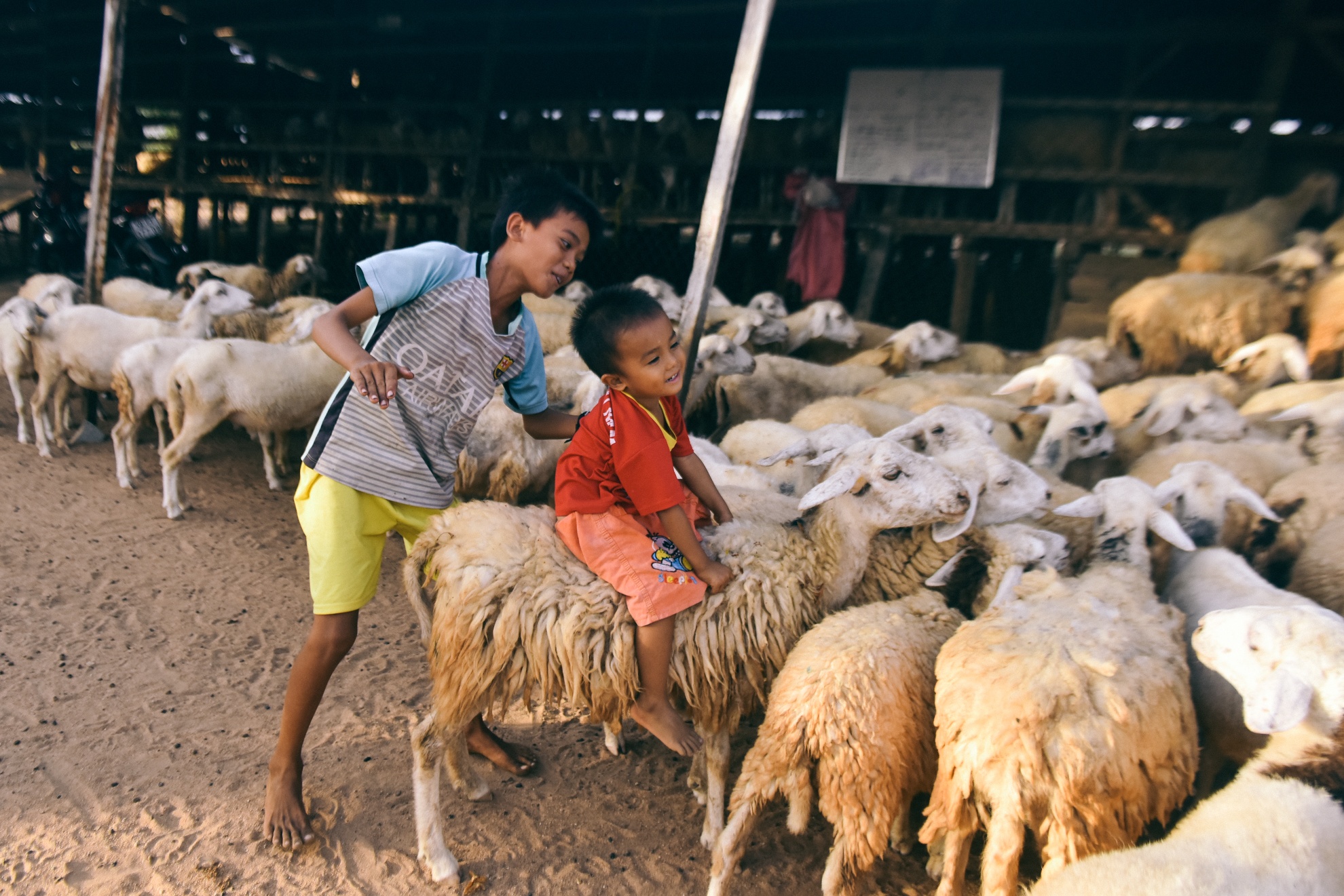 Nguoi chan cuu Ninh Thuan anh 34