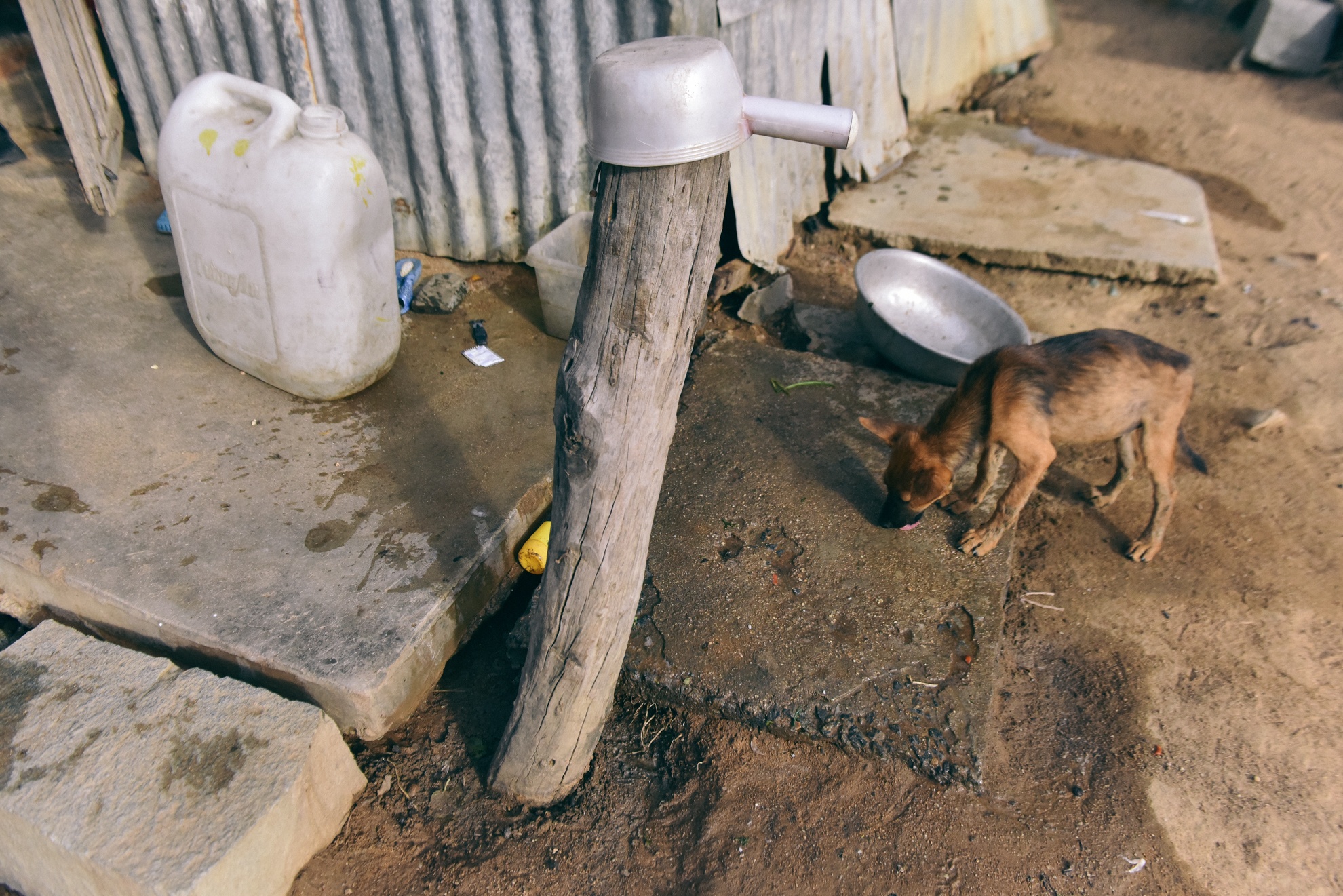 Nguoi chan cuu Ninh Thuan anh 39