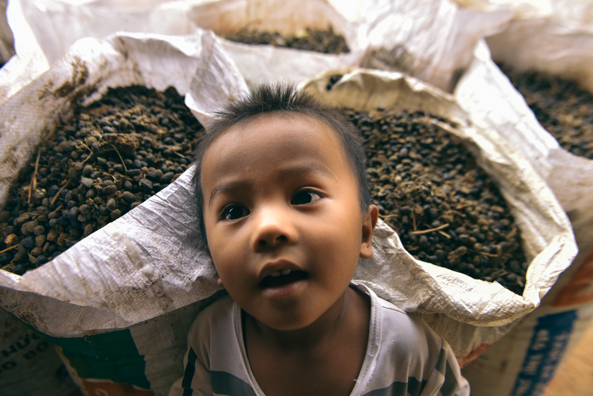 Nguoi chan cuu Ninh Thuan anh 33