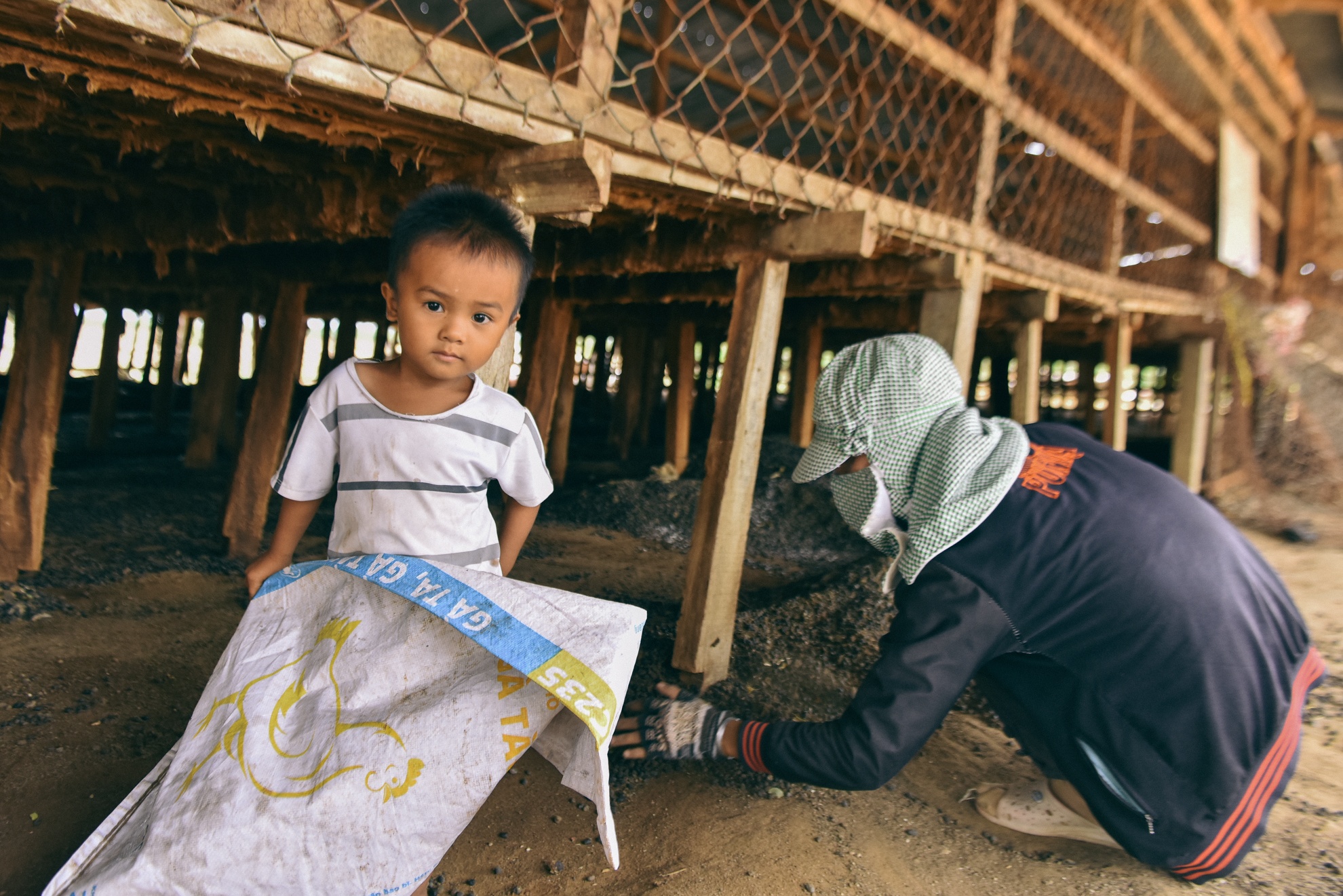 Nguoi chan cuu Ninh Thuan anh 31