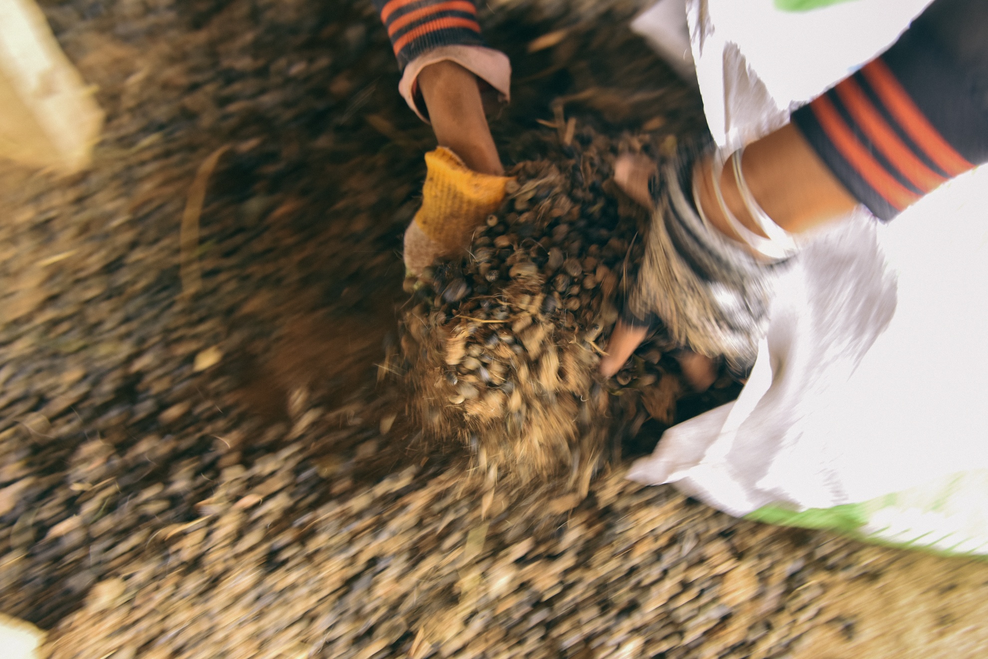 Nguoi chan cuu Ninh Thuan anh 29