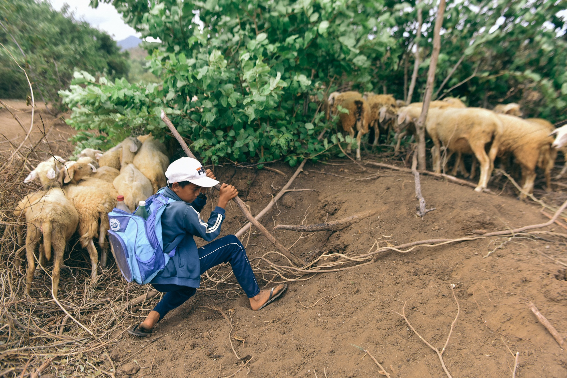Nguoi chan cuu Ninh Thuan anh 9