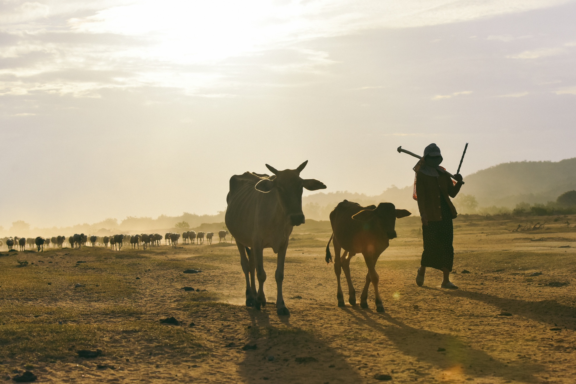 Nguoi chan cuu Ninh Thuan anh 25