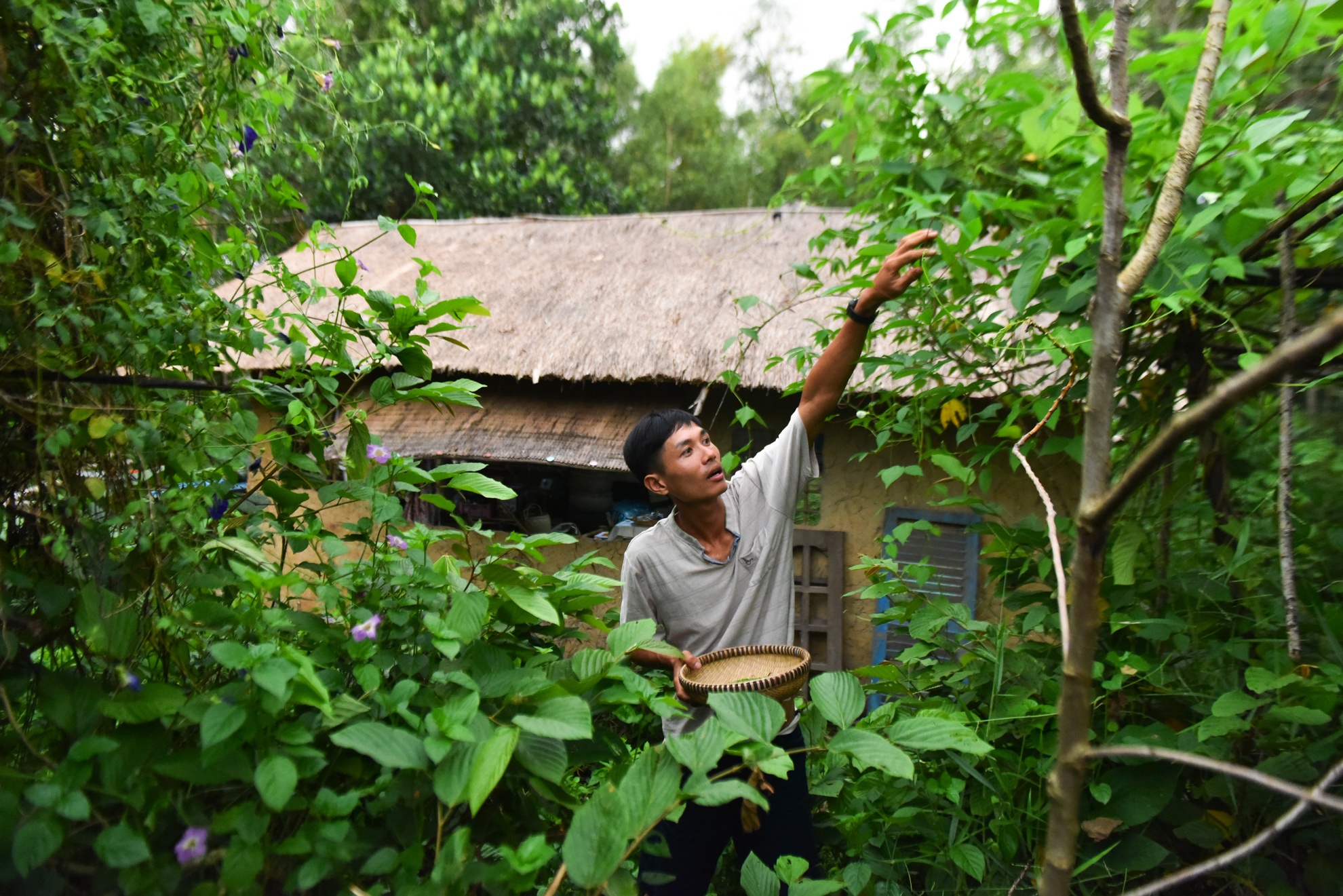 chang trai san xuat ong hut tu thien nhien anh 4