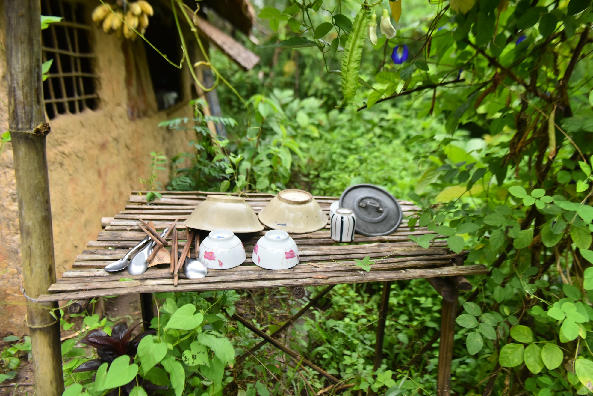 chang trai san xuat ong hut tu thien nhien anh 11