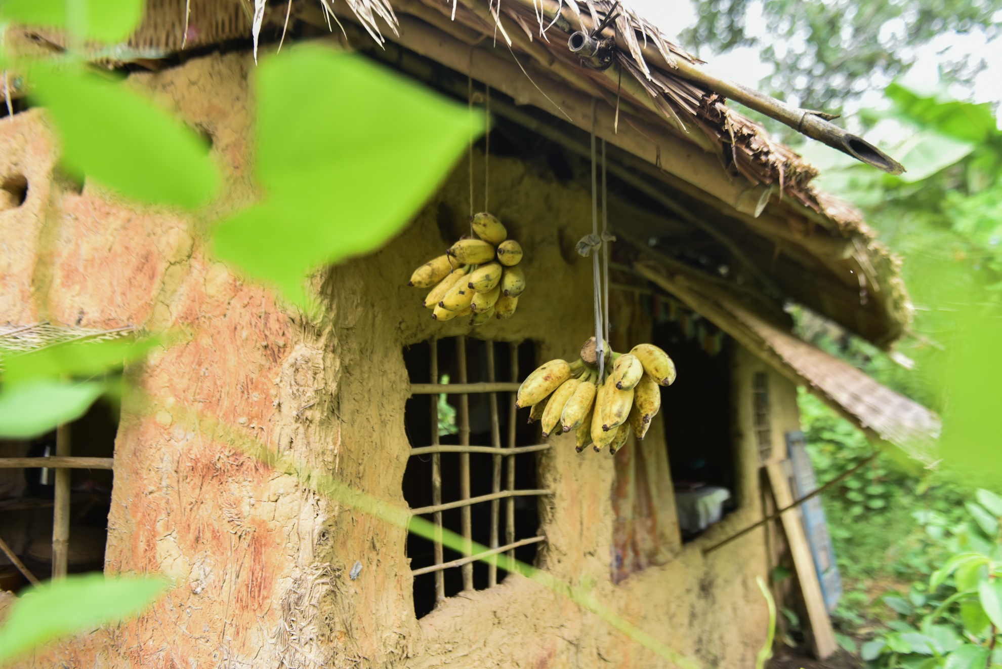 chang trai san xuat ong hut tu thien nhien anh 9