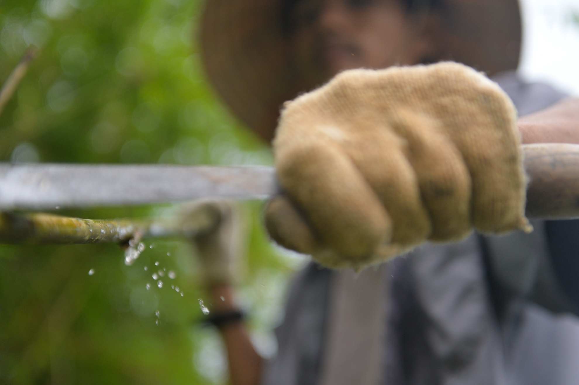 chang trai san xuat ong hut tu thien nhien anh 17