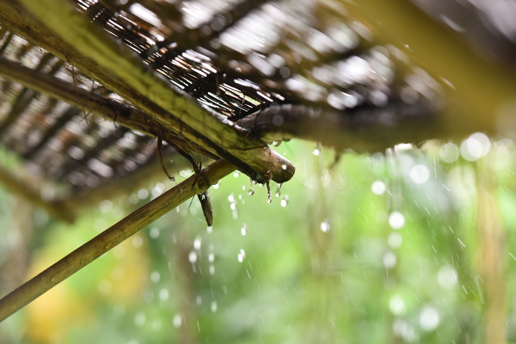 chang trai san xuat ong hut tu thien nhien anh 12